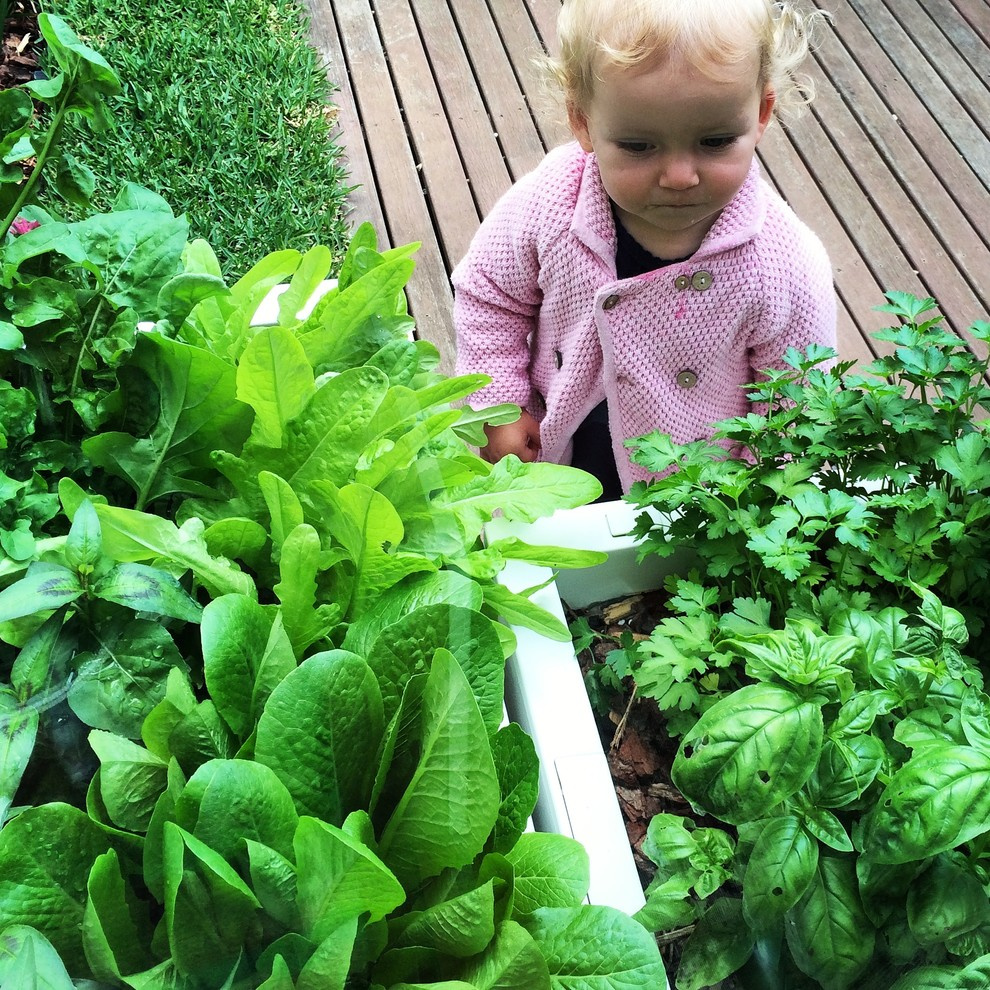 Огород легкого ухода? — Шутить изволите