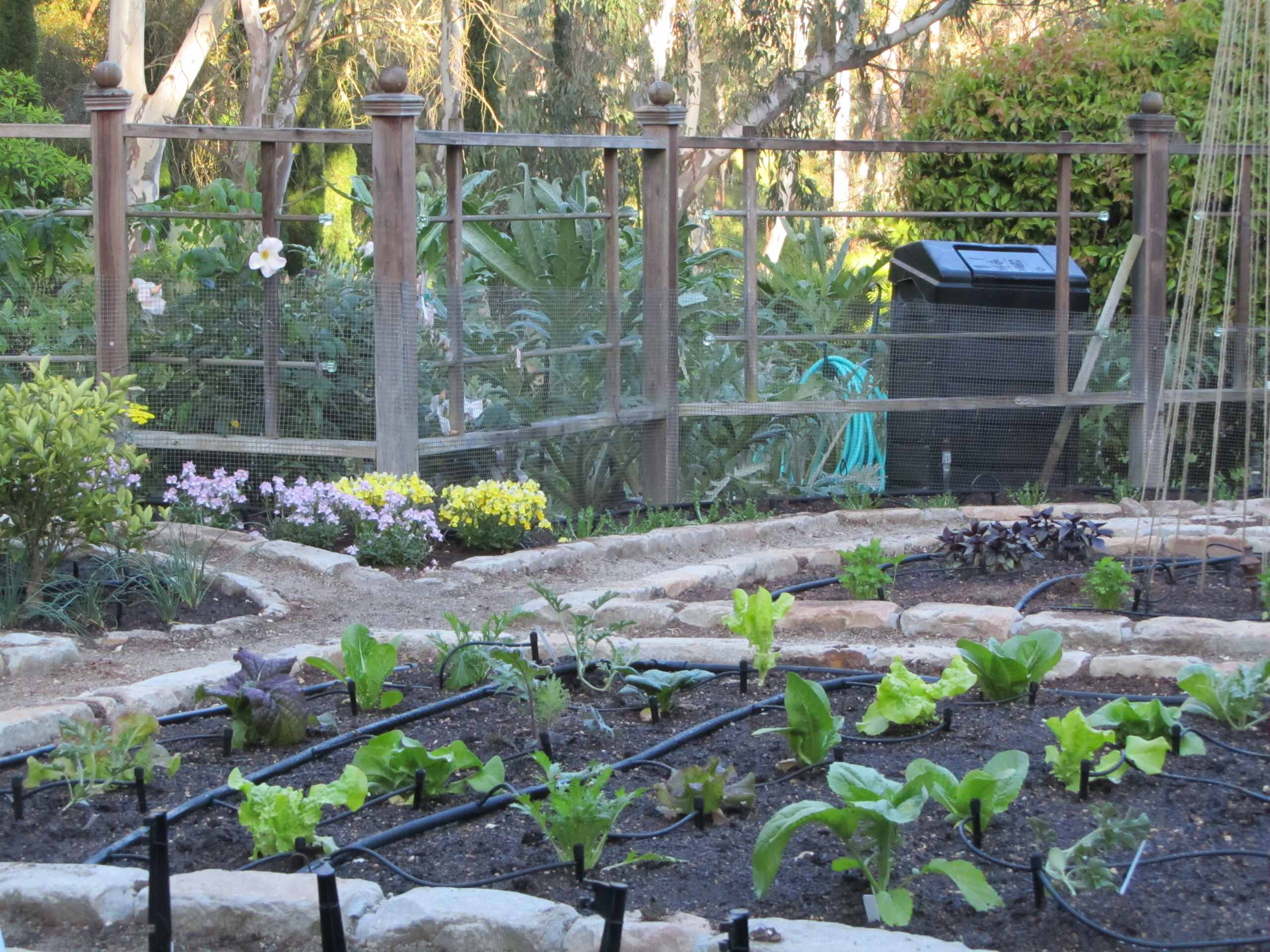 Огород легкого ухода? — Шутить изволите