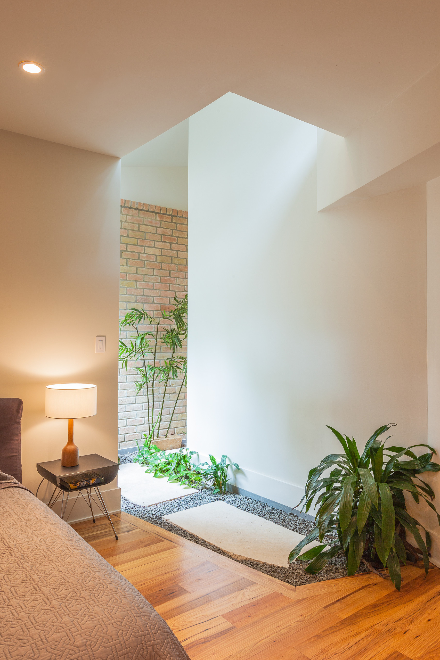 Откуда корни растут: Нестандартные идеи озеленения дома