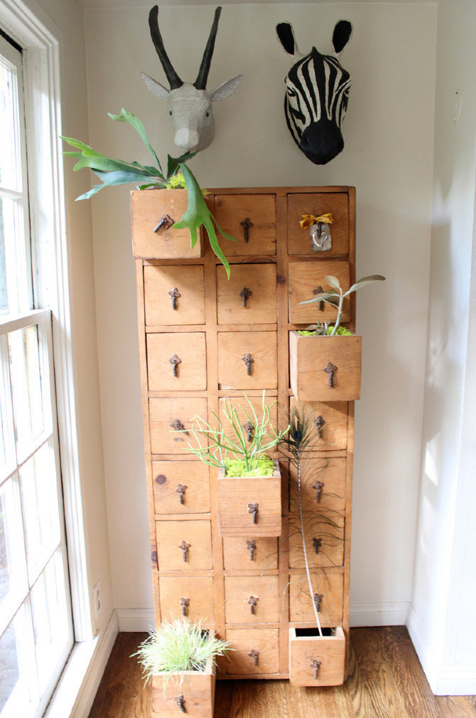 Откуда корни растут: Нестандартные идеи озеленения дома