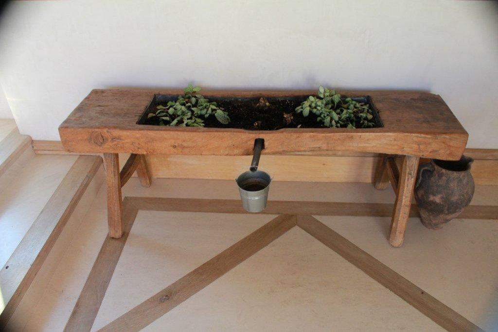 Откуда корни растут: Нестандартные идеи озеленения дома