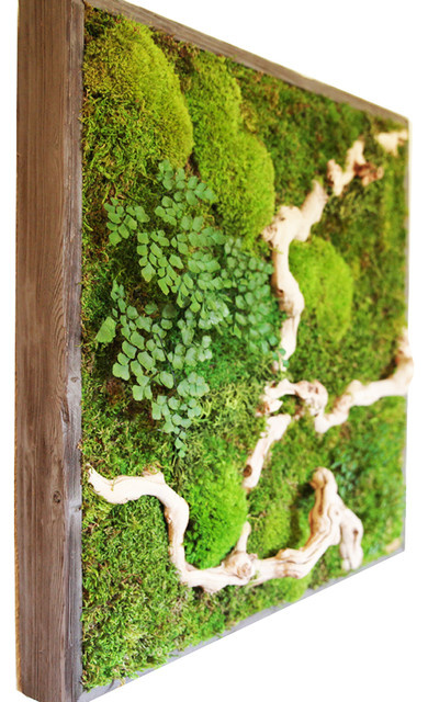 Откуда корни растут: Нестандартные идеи озеленения дома