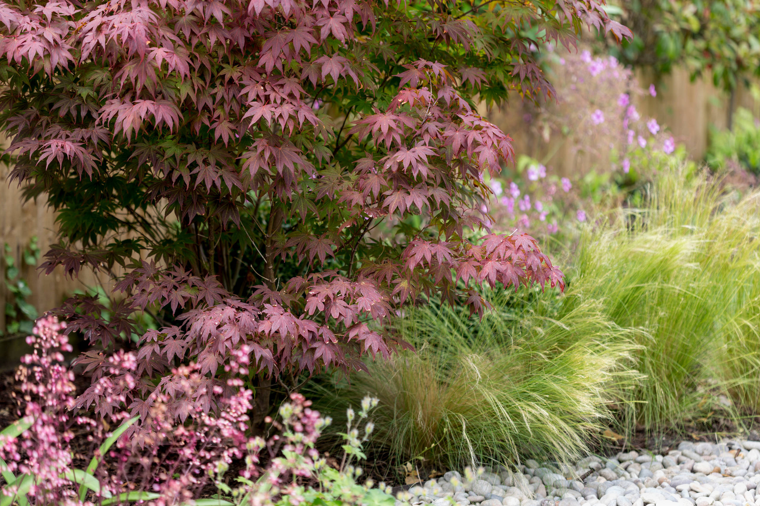 Проект недели: Сад с «комнатами» на вытянутом участке