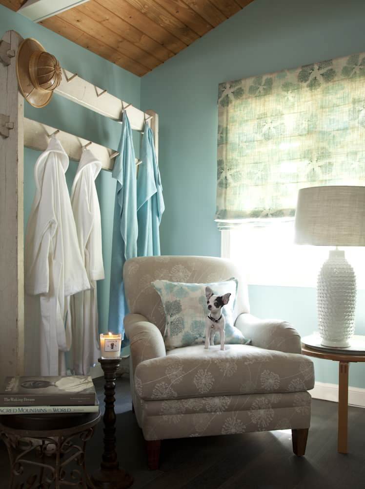 Что могут рассказать о дизайне интерьера чихуахуа