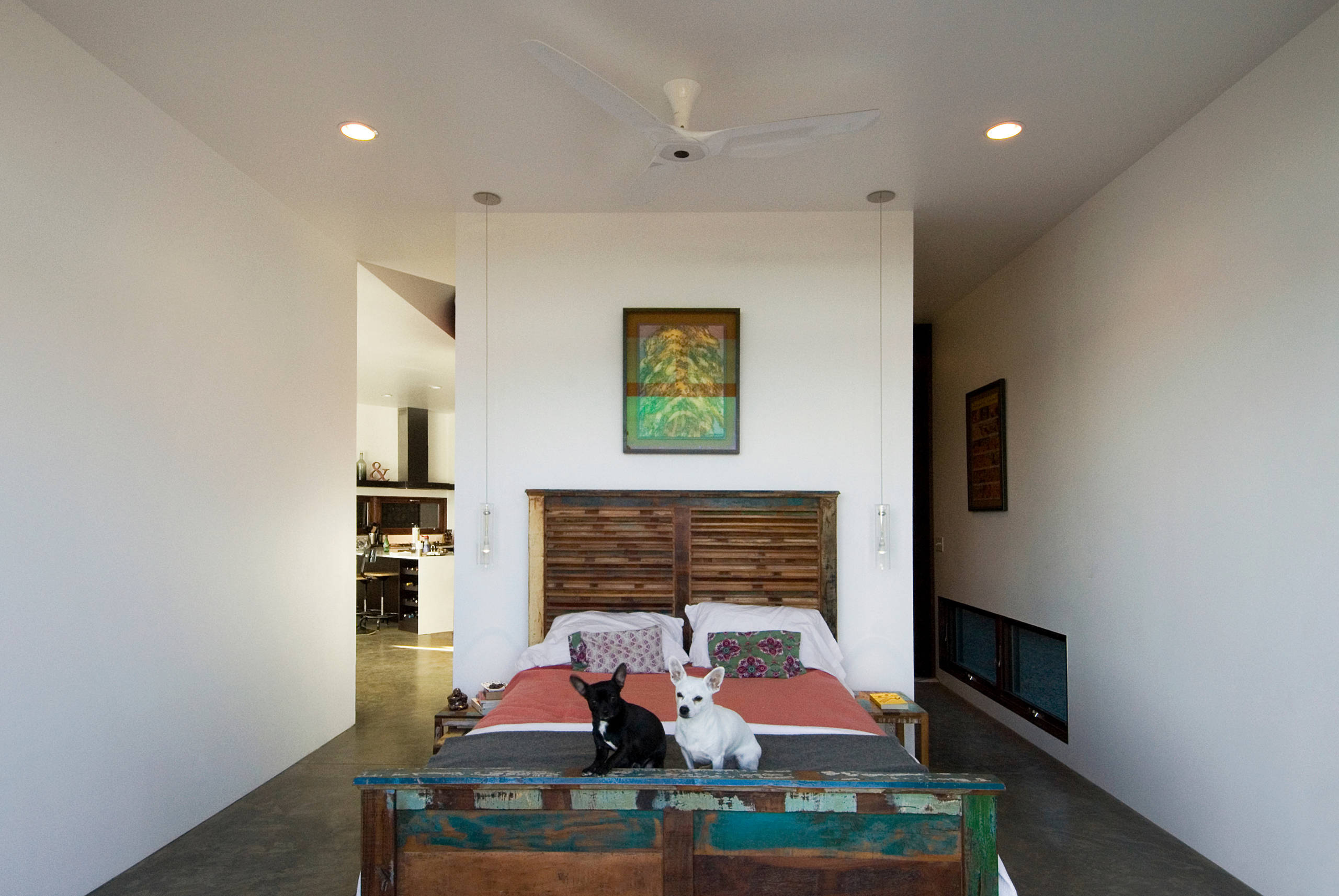 Что могут рассказать о дизайне интерьера чихуахуа