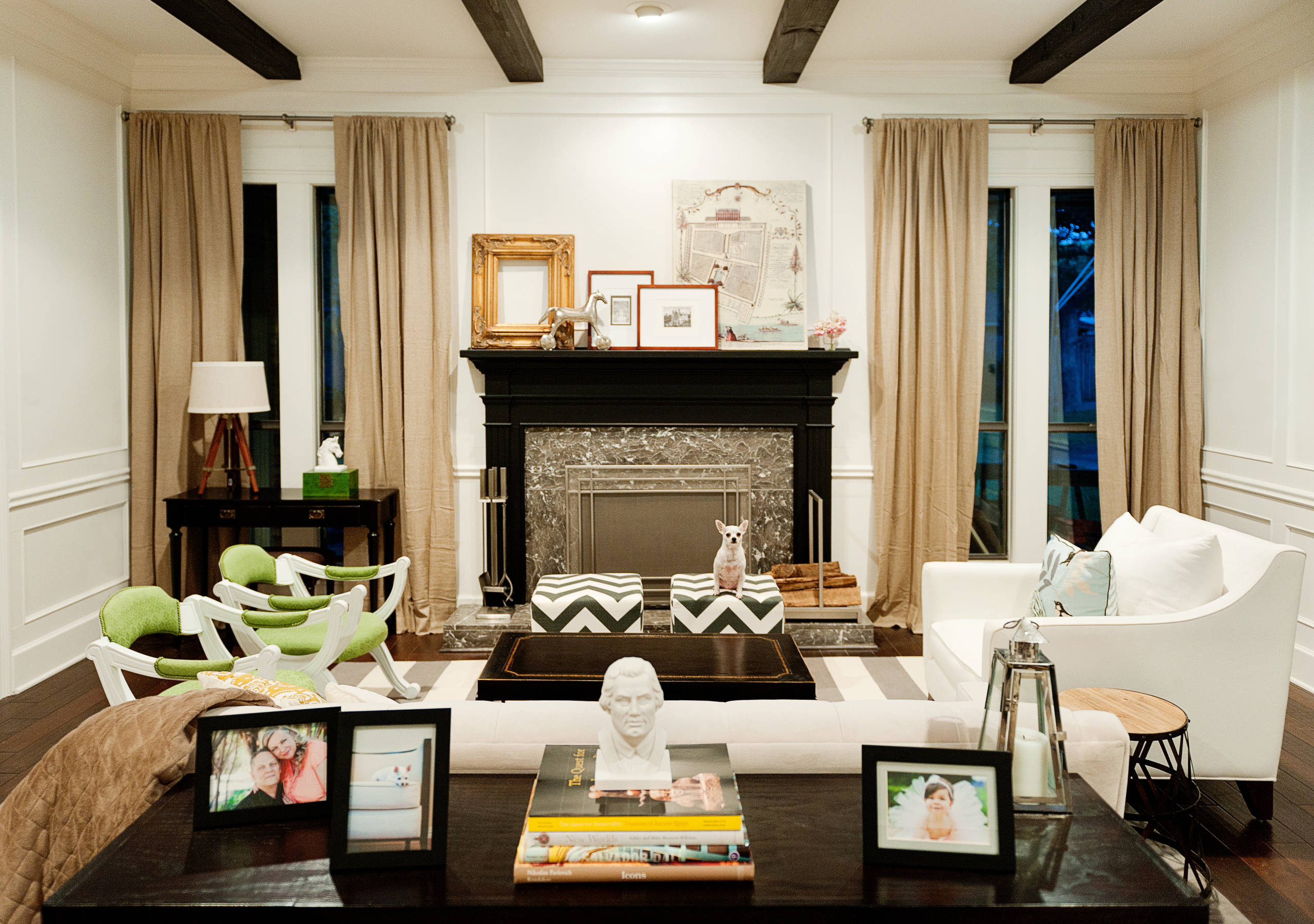 Что могут рассказать о дизайне интерьера чихуахуа