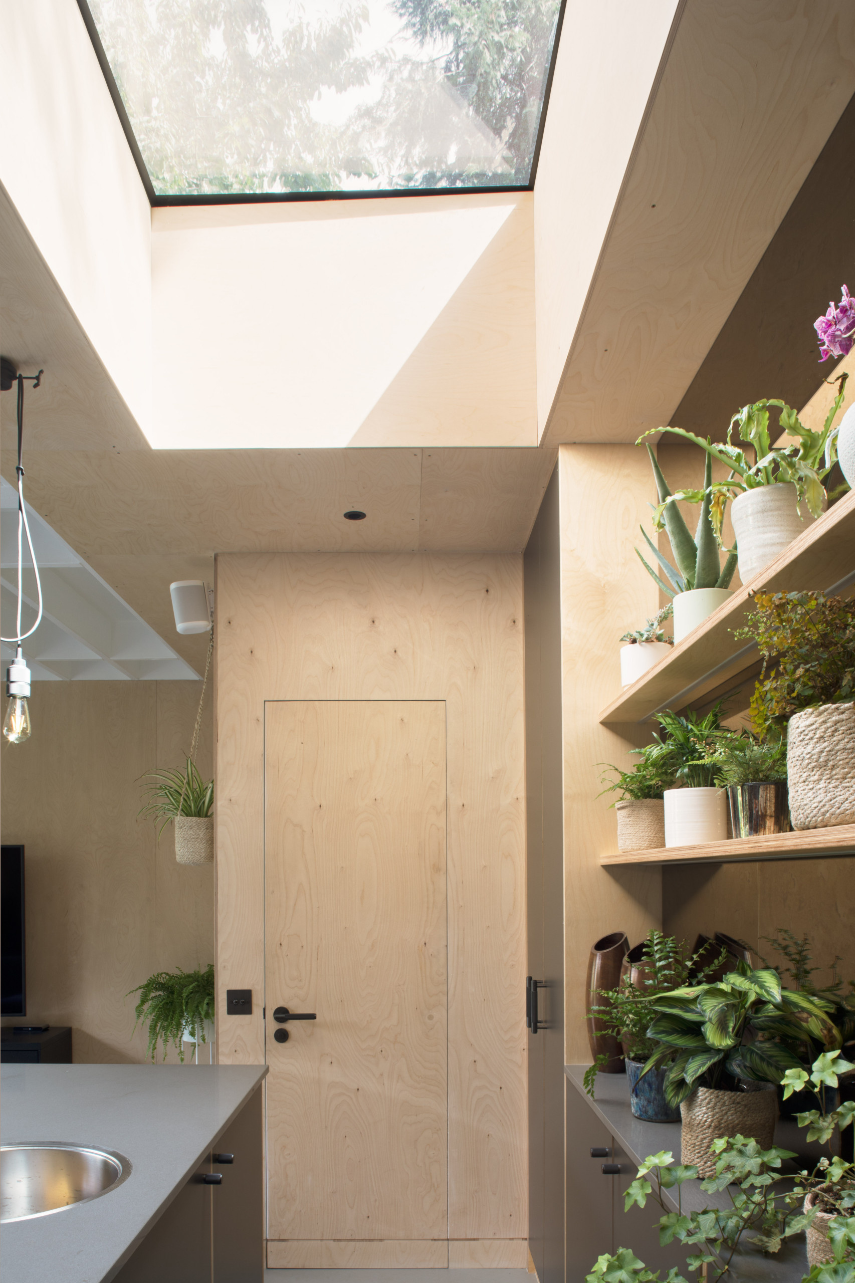 Houzz в саду: Павильон, который сливается с ландшафтом