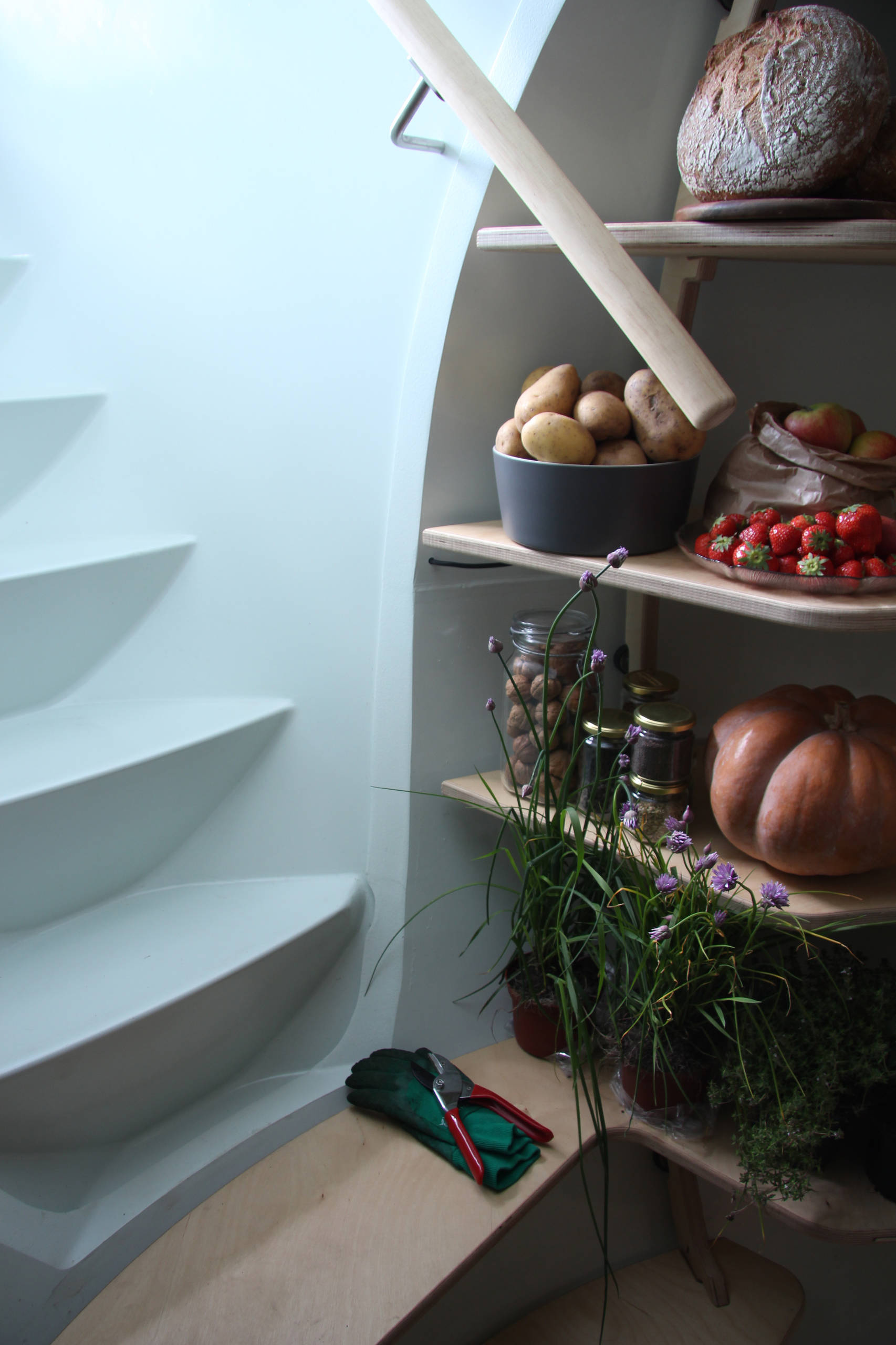 Мир дизайна: Ледниковый период или новые способы хранения продуктов