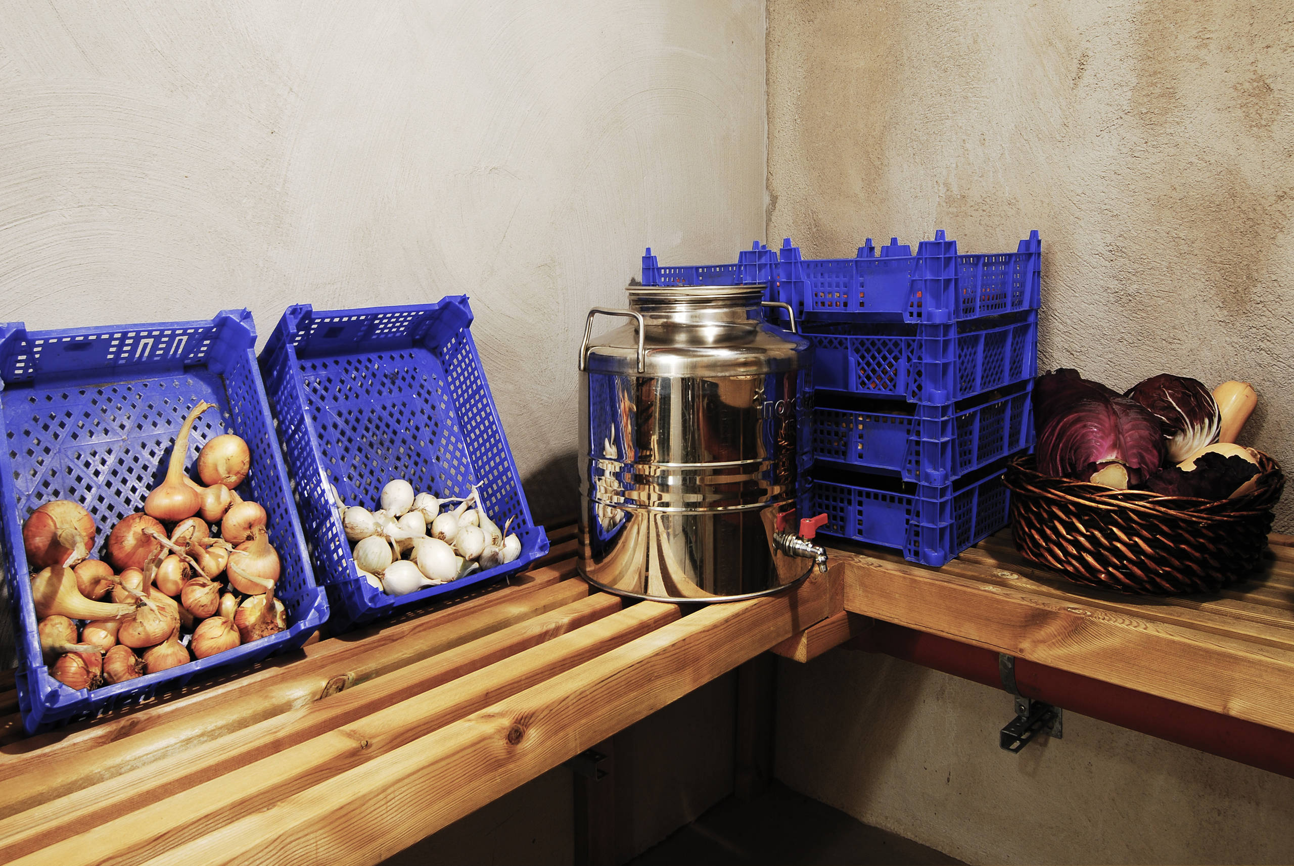 Мир дизайна: Ледниковый период или новые способы хранения продуктов