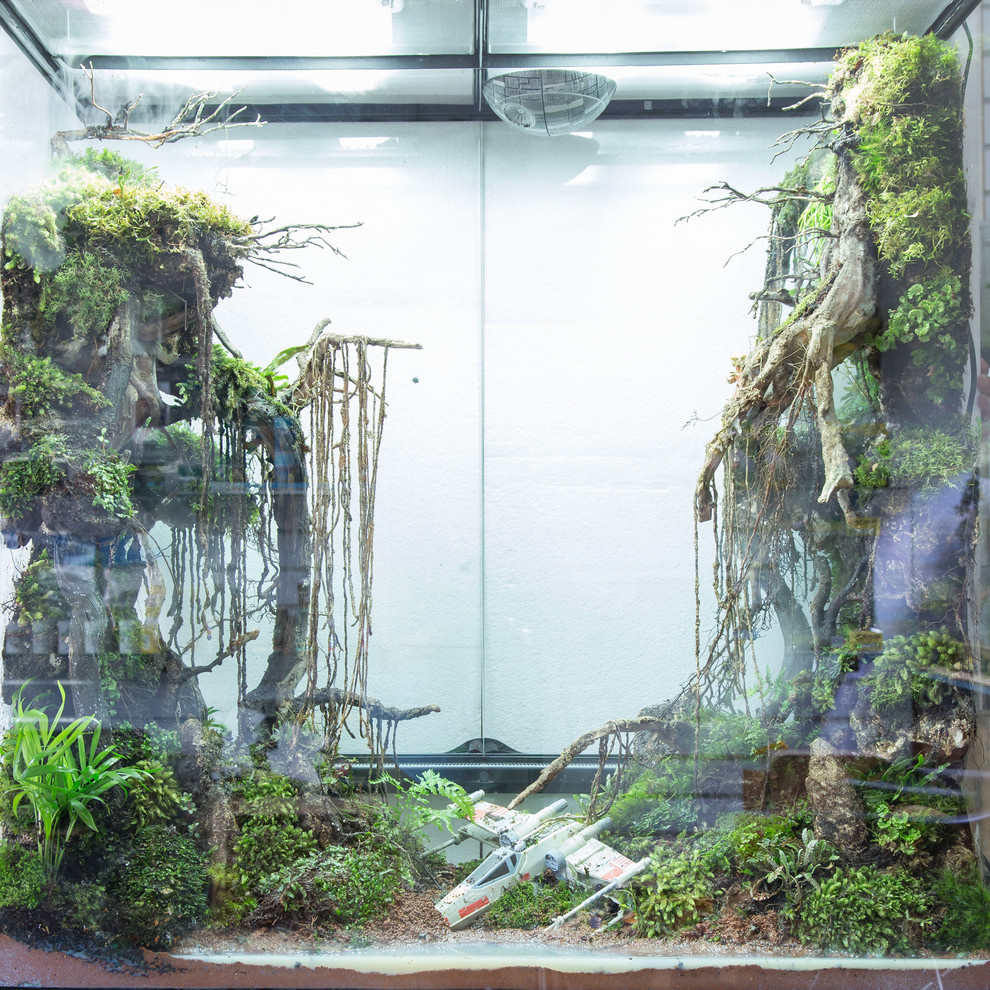 Houzz юмор: Террариум, стилизованный по фильму Star Wars
