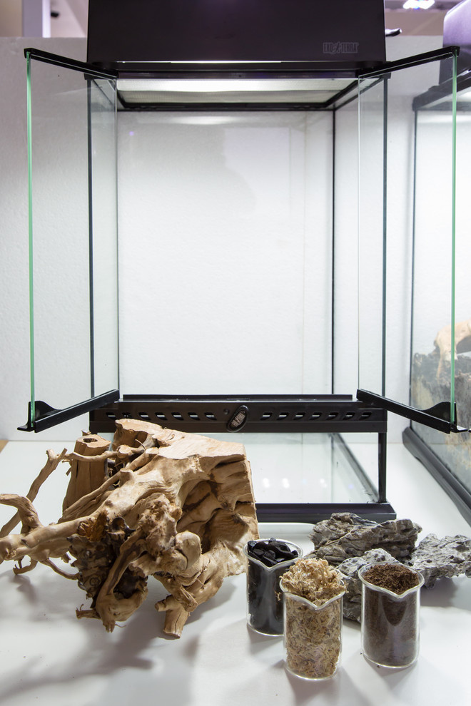 Houzz юмор: Террариум, стилизованный по фильму Star Wars