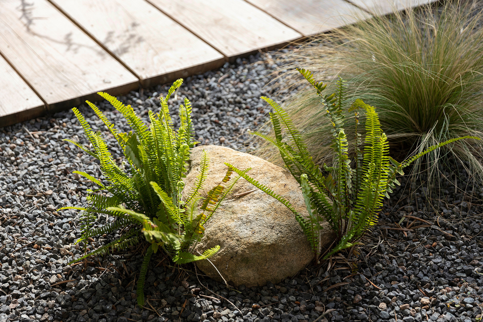 Houzz в саду: Тотальная реконструкция узкого сада