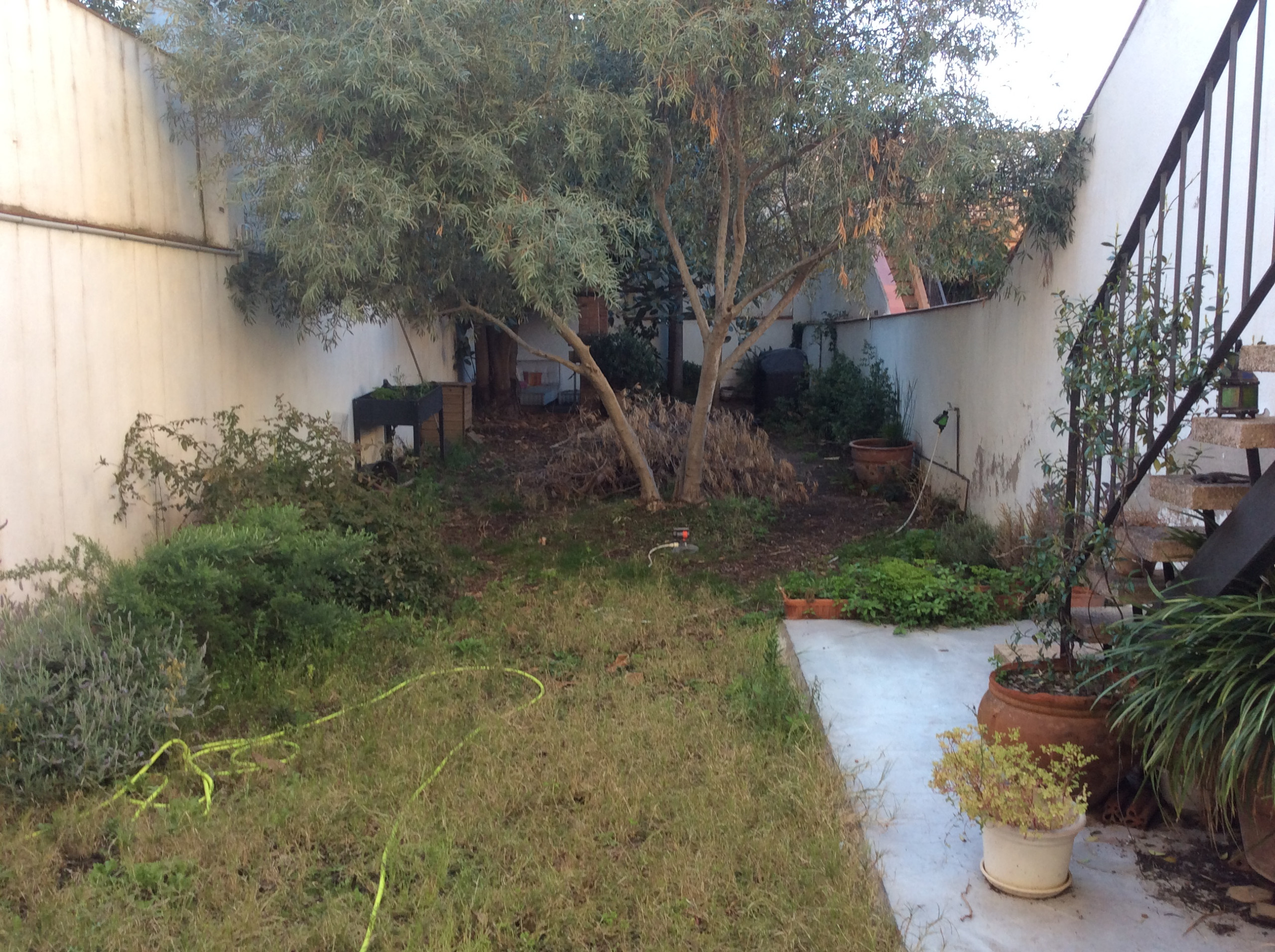 Houzz в саду: Тотальная реконструкция узкого сада