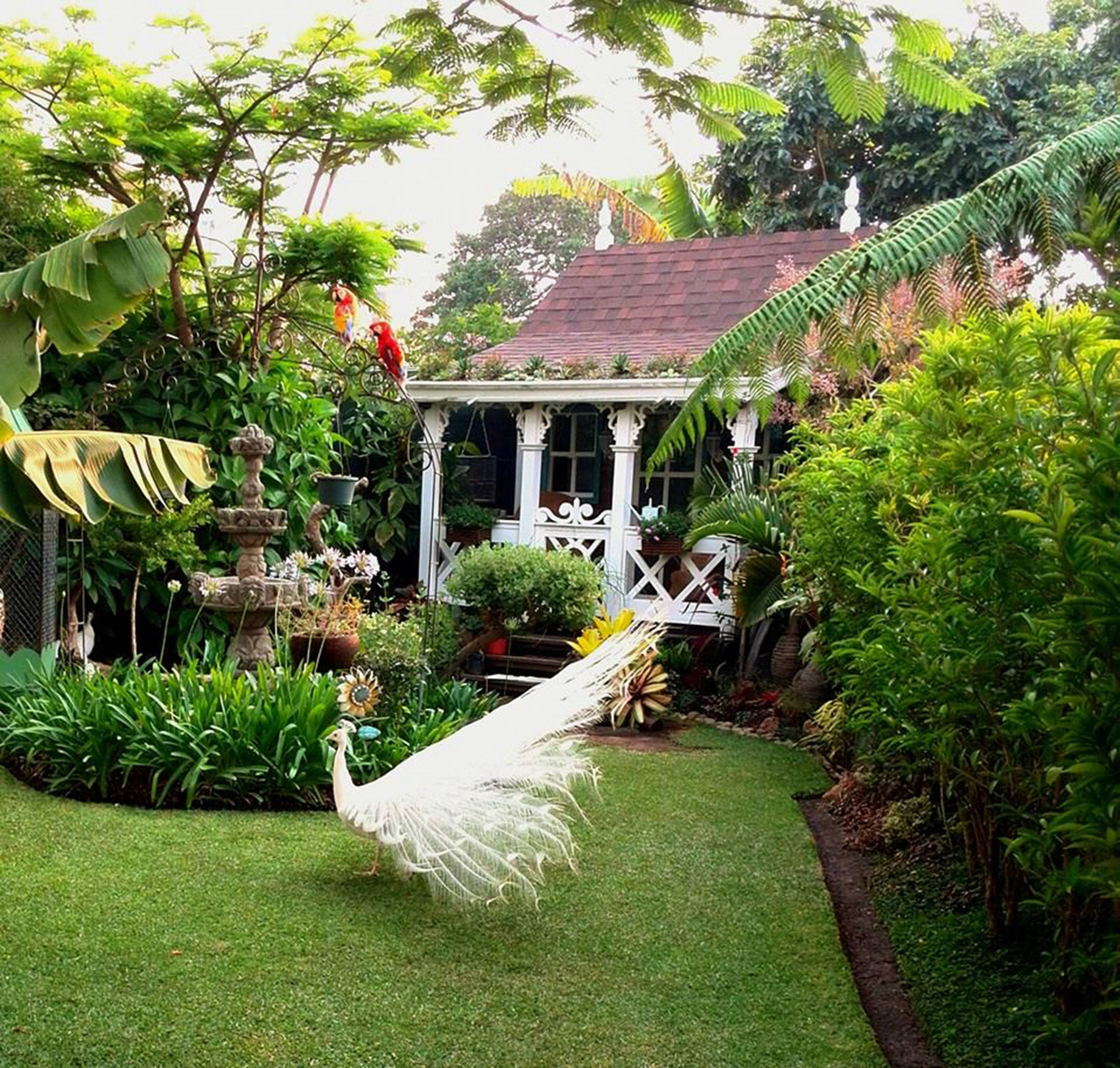 Houzz Гватемала: Райский сад, в котором всегда царит весна