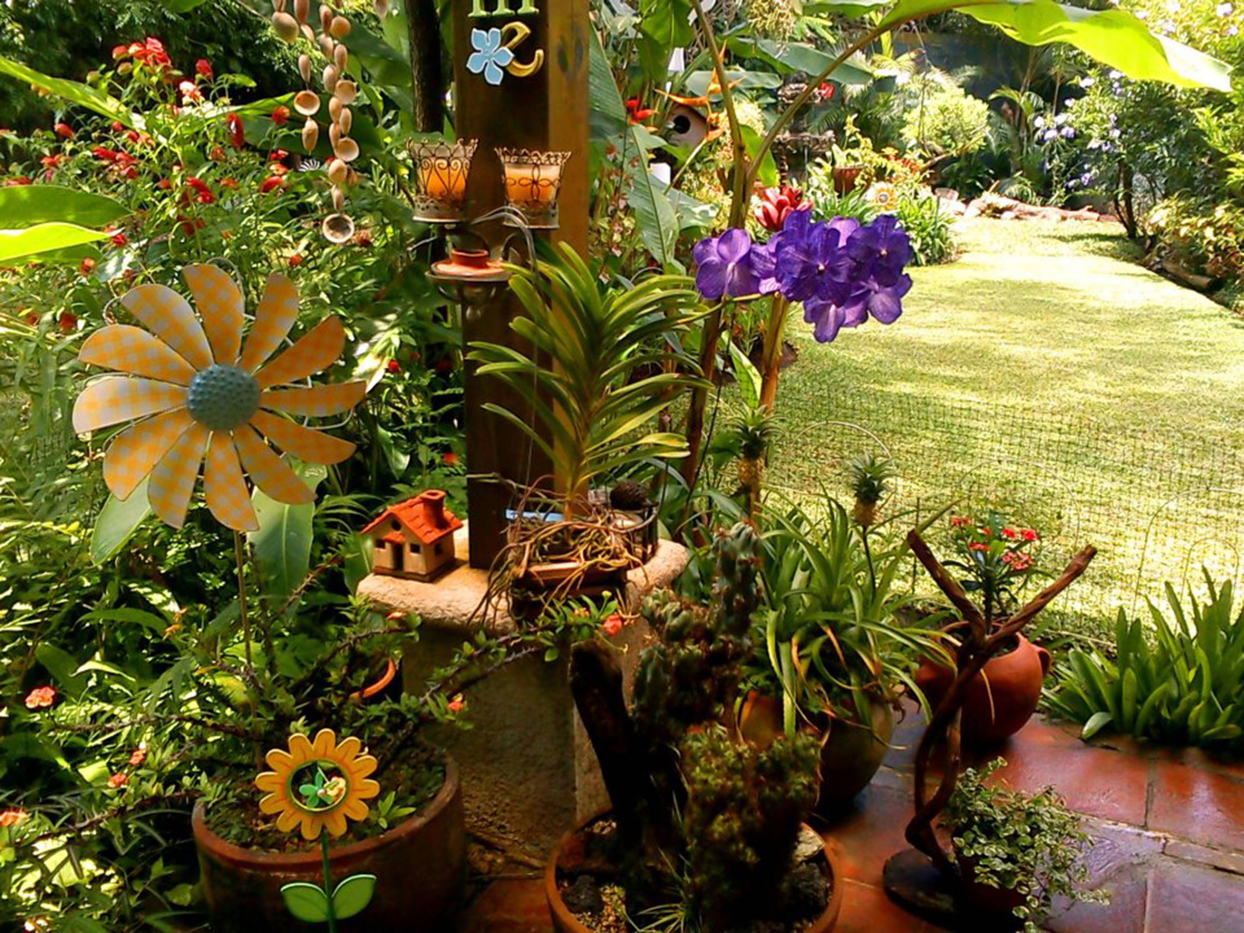 Houzz Гватемала: Райский сад, в котором всегда царит весна