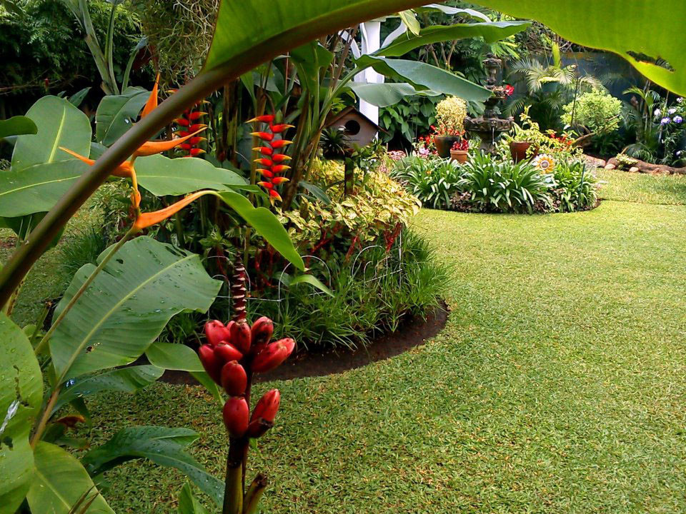 Houzz Гватемала: Райский сад, в котором всегда царит весна