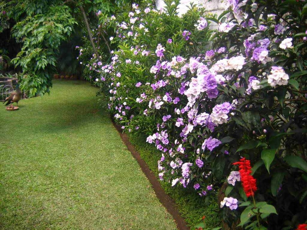 Houzz Гватемала: Райский сад, в котором всегда царит весна