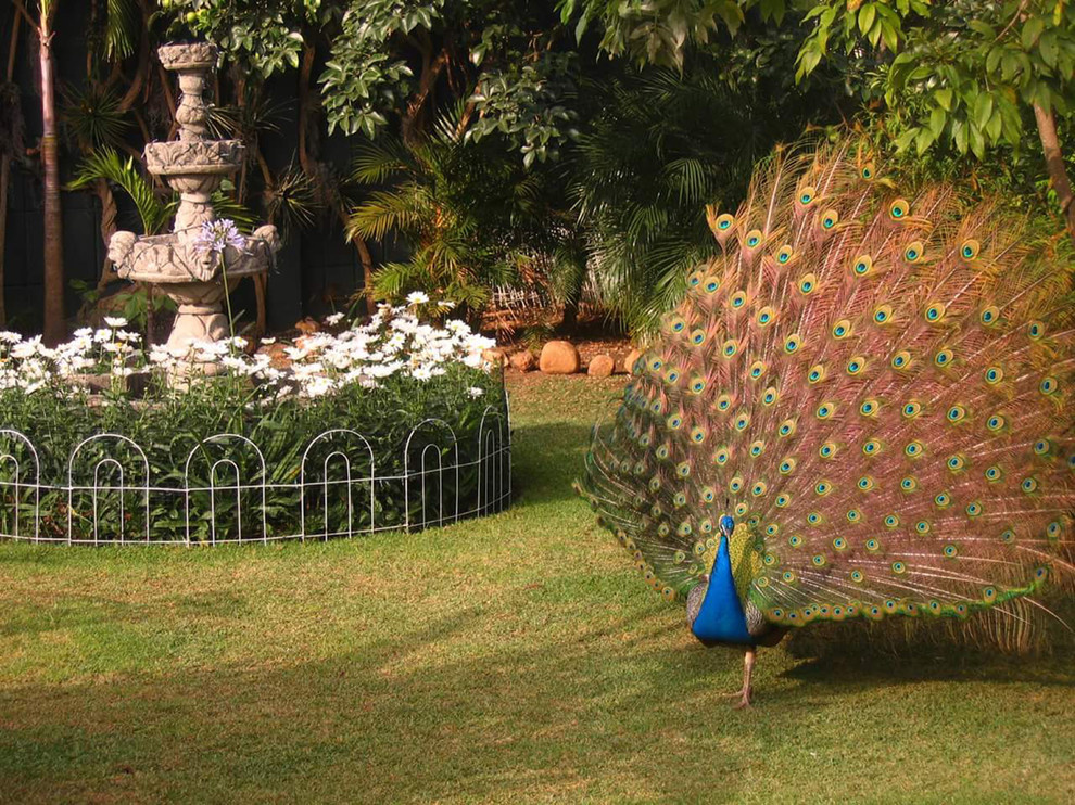 Houzz Гватемала: Райский сад, в котором всегда царит весна