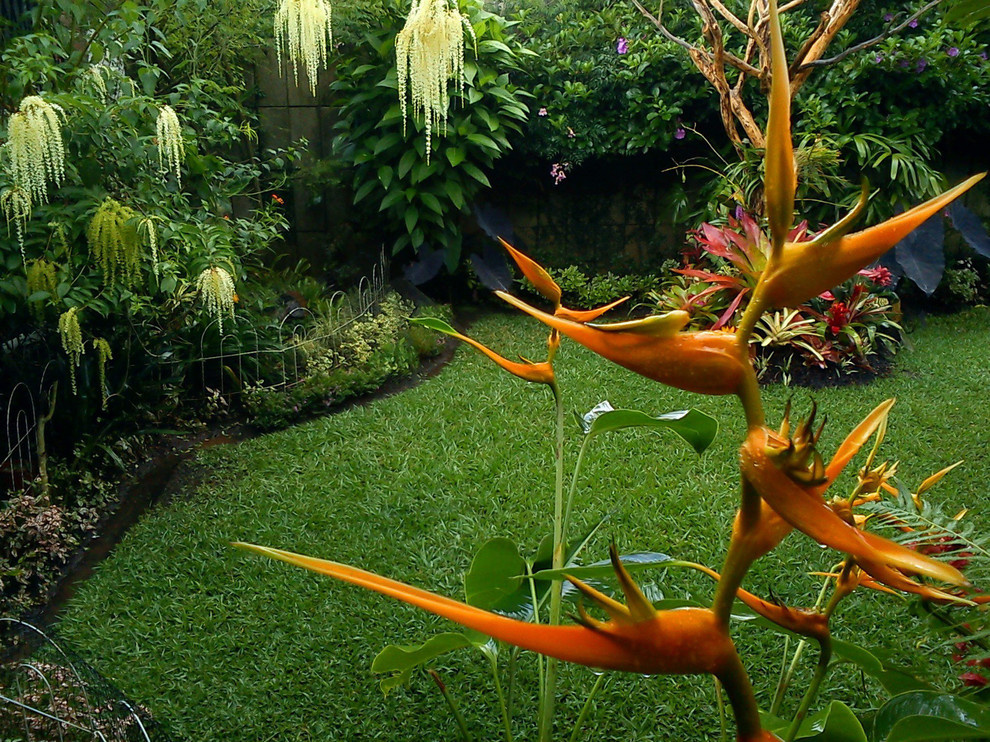 Houzz Гватемала: Райский сад, в котором всегда царит весна