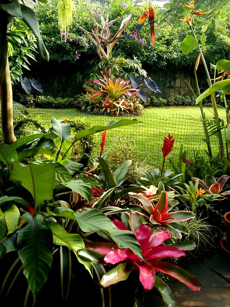 Houzz Гватемала: Райский сад, в котором всегда царит весна