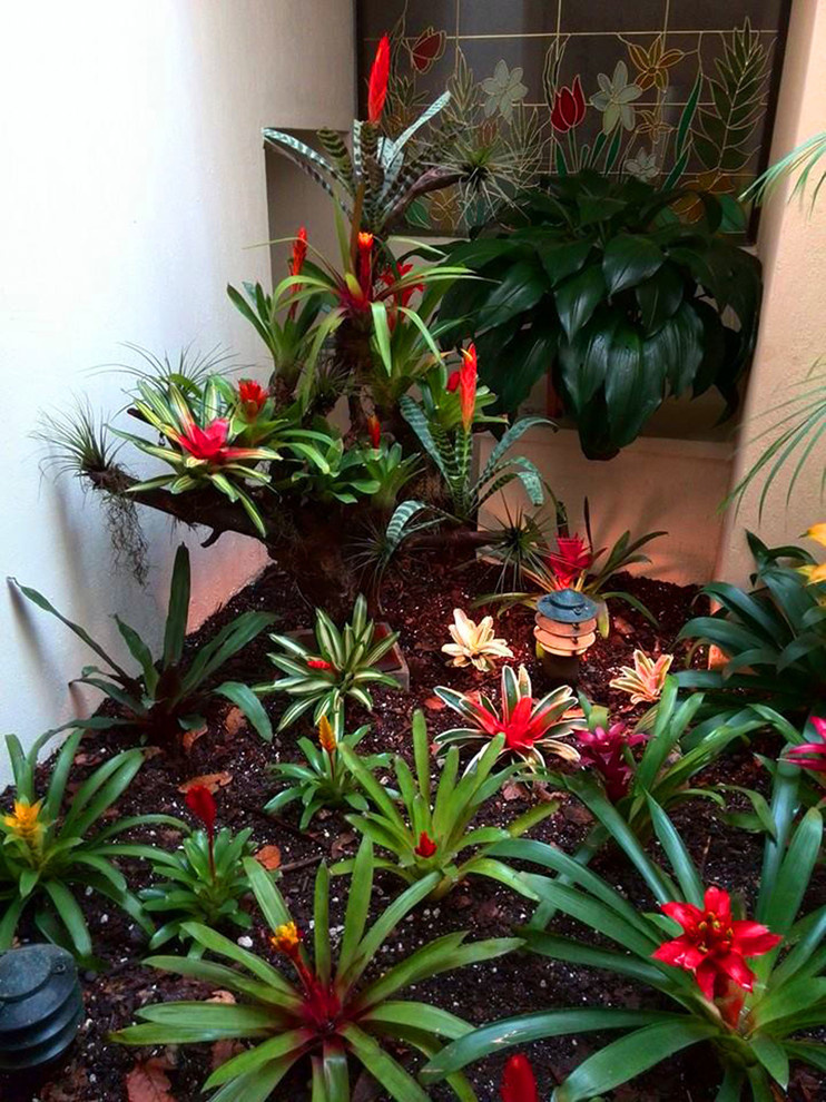 Houzz Гватемала: Райский сад, в котором всегда царит весна