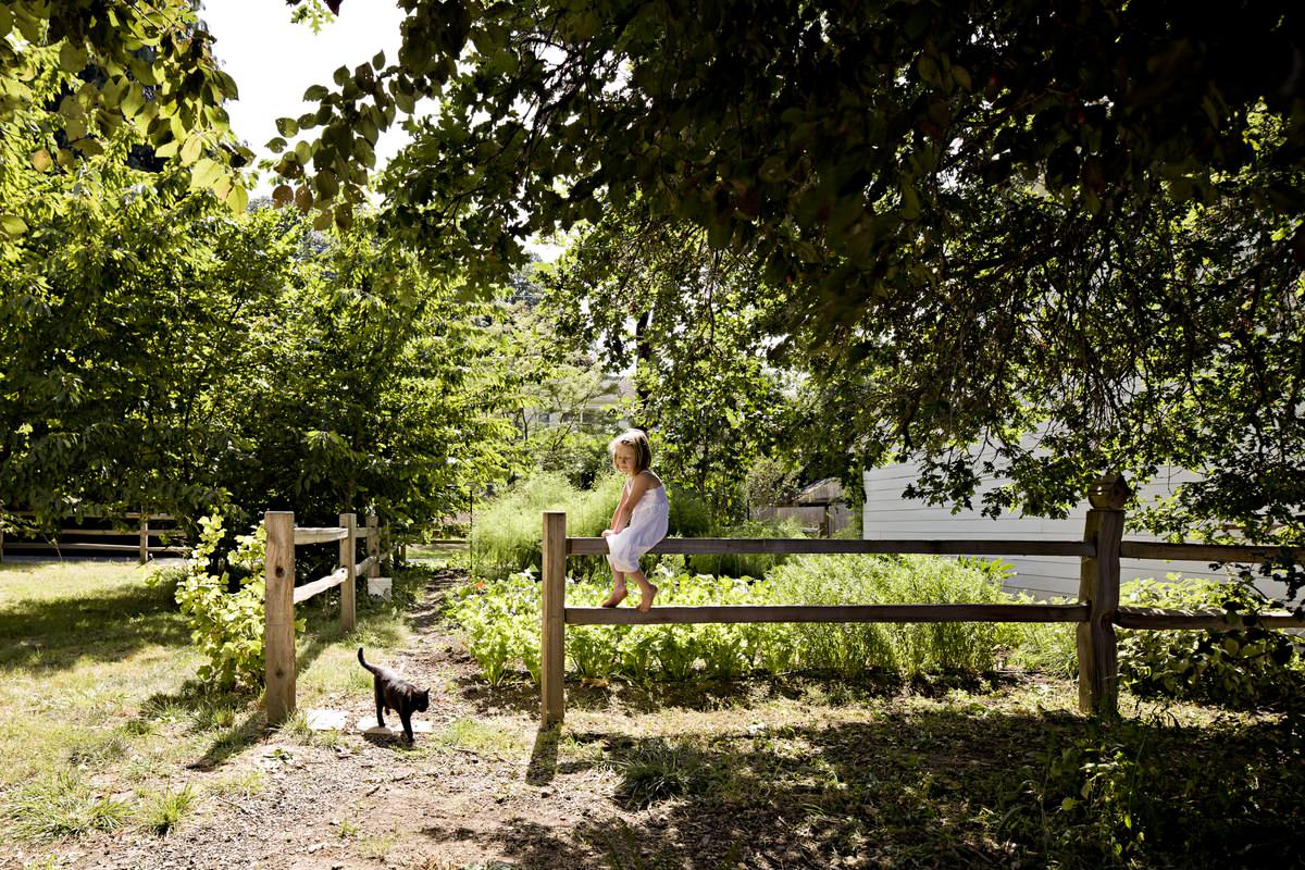 Кошкин сад: Как превратить свой участок в любимое место питомца