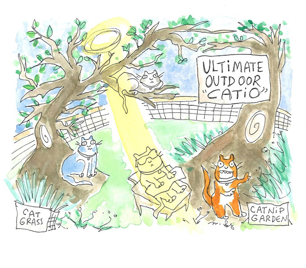 Кошкин сад: Как превратить свой участок в любимое место питомца