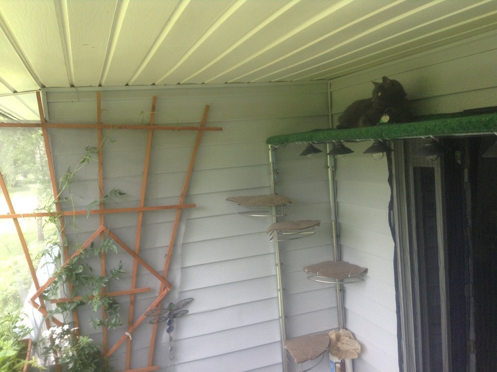 Кошкин сад: Как превратить свой участок в любимое место питомца