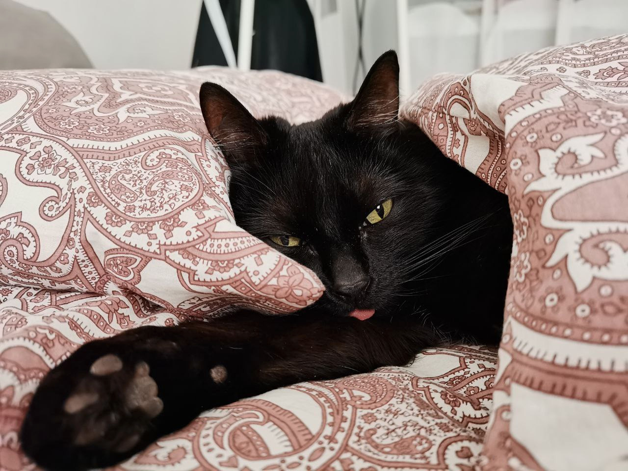 Личный опыт: Как я обустроила служебную квартиру за 235 400 ₽