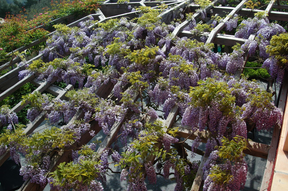 12 атрибутов сада в стиле прованс