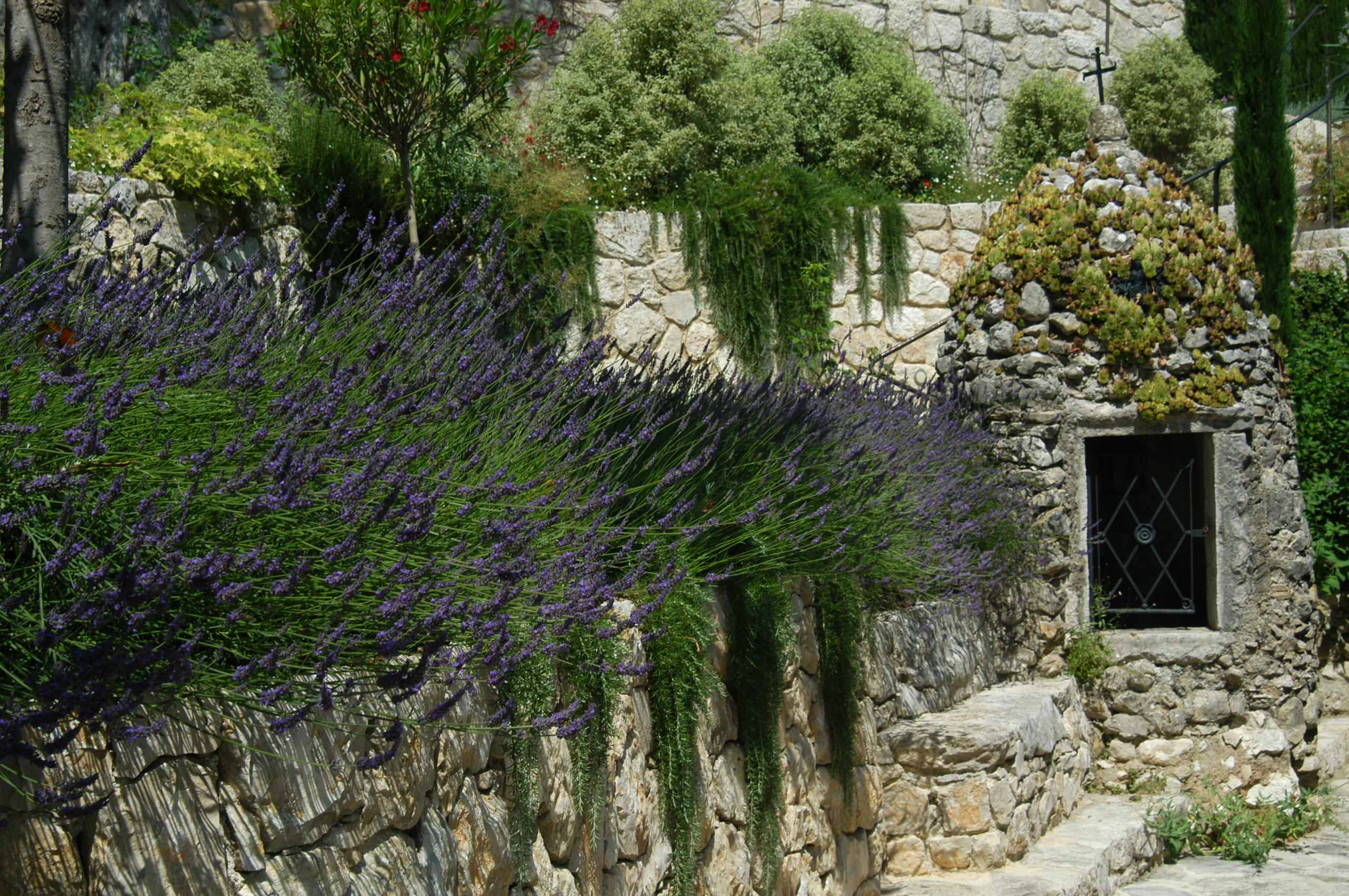 12 атрибутов сада в стиле прованс