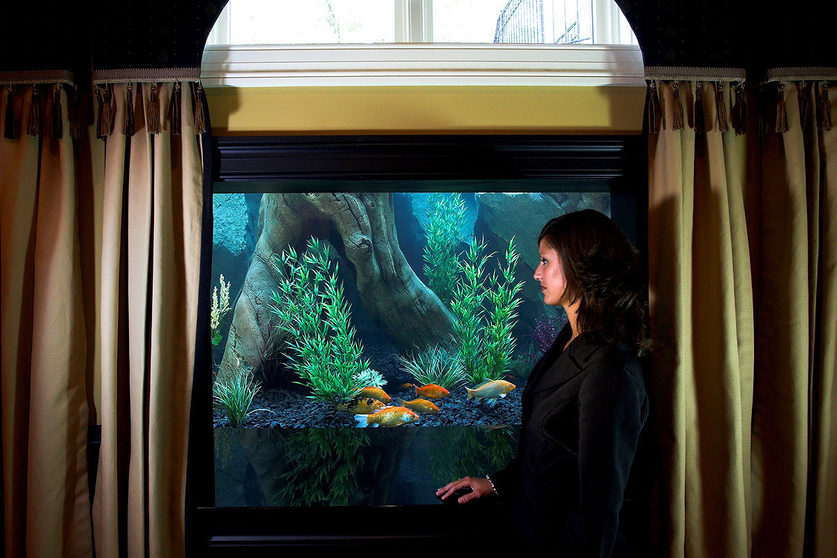Хороший вопрос: Куда поставить аквариум