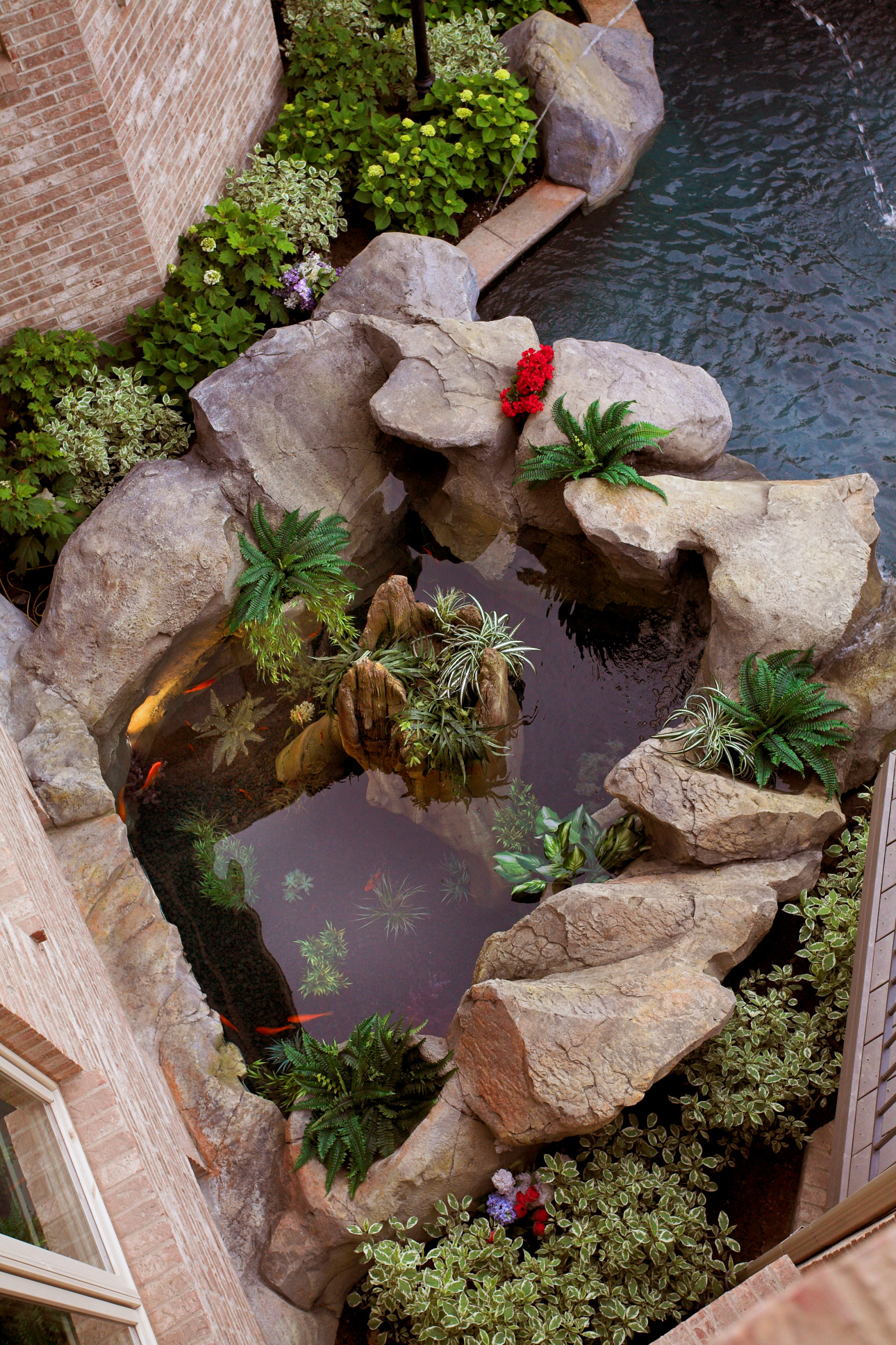 Хороший вопрос: Куда поставить аквариум