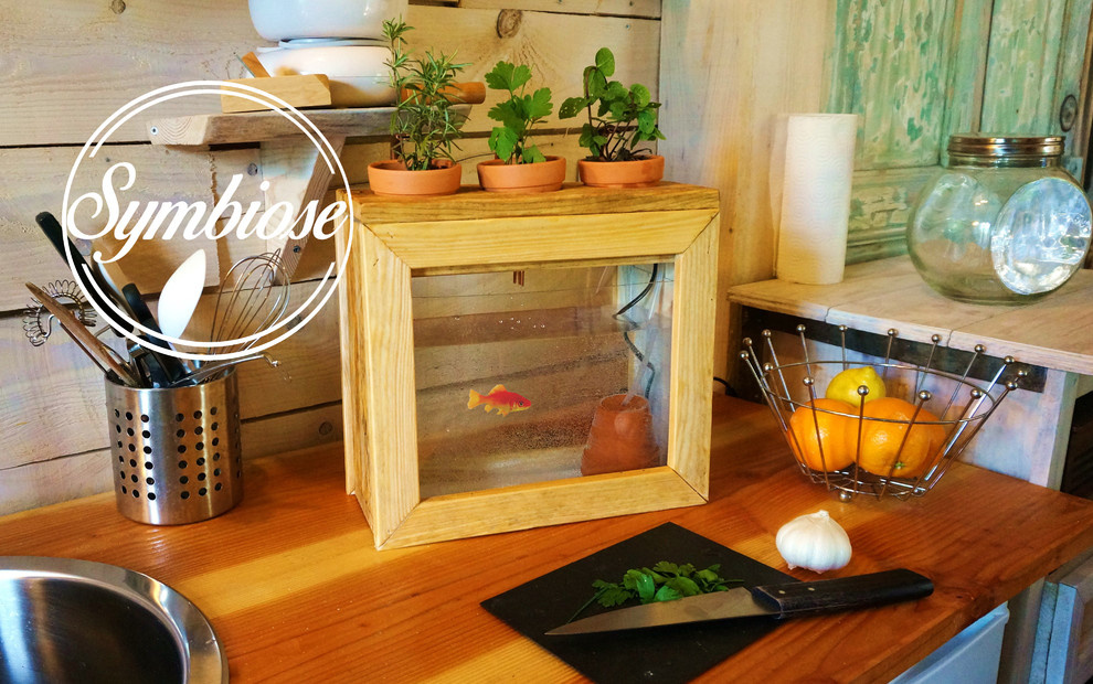 Хороший вопрос: Куда поставить аквариум