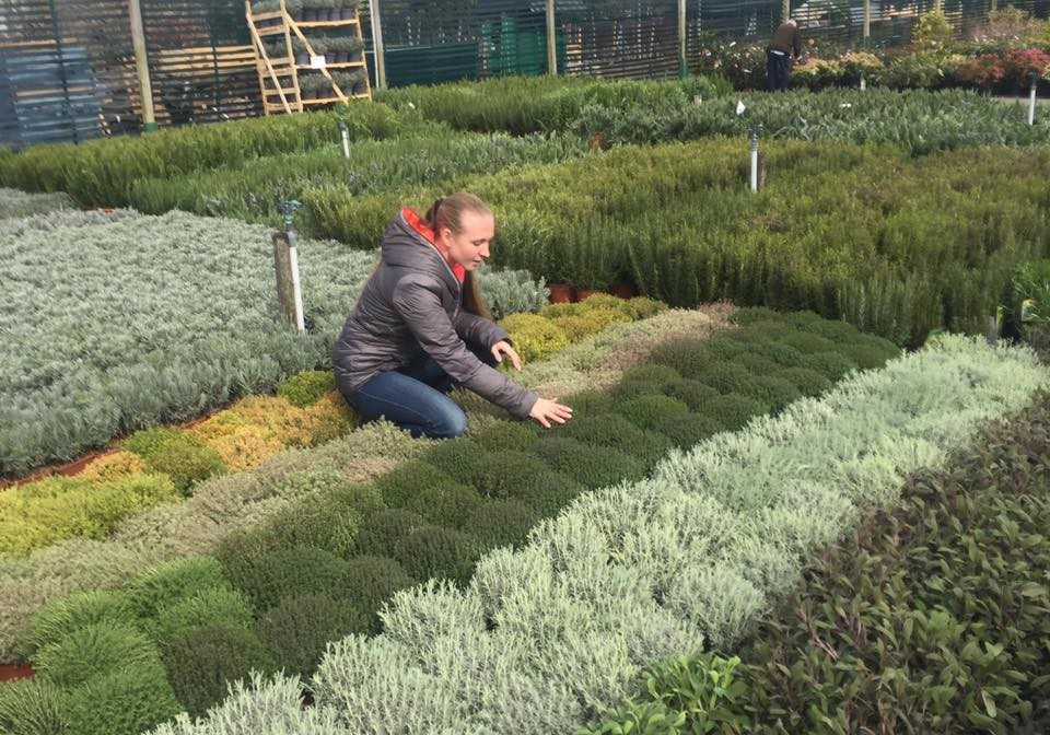 Выставка в Челси: Река времени в саду из России