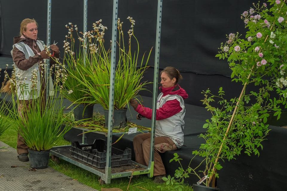 Выставка в Челси: Река времени в саду из России