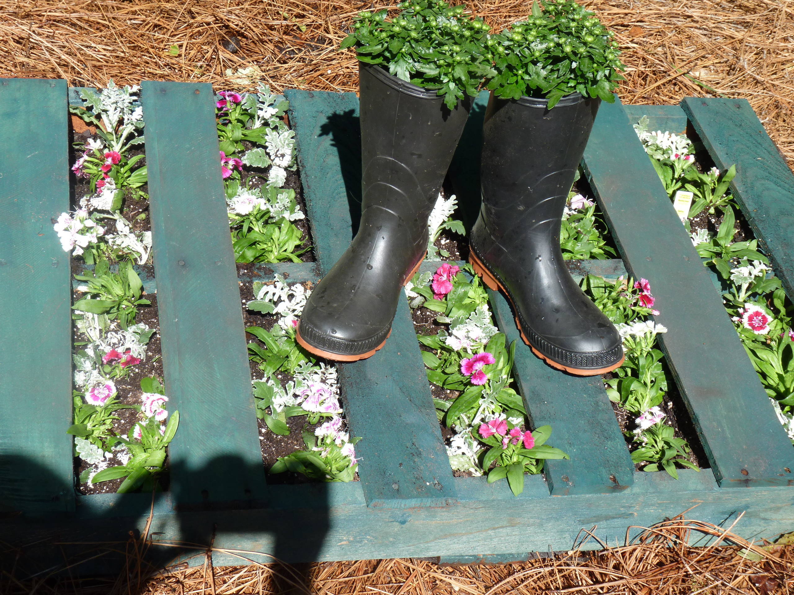 Houzz call: Покажите нам свои креативные цветники и грядки