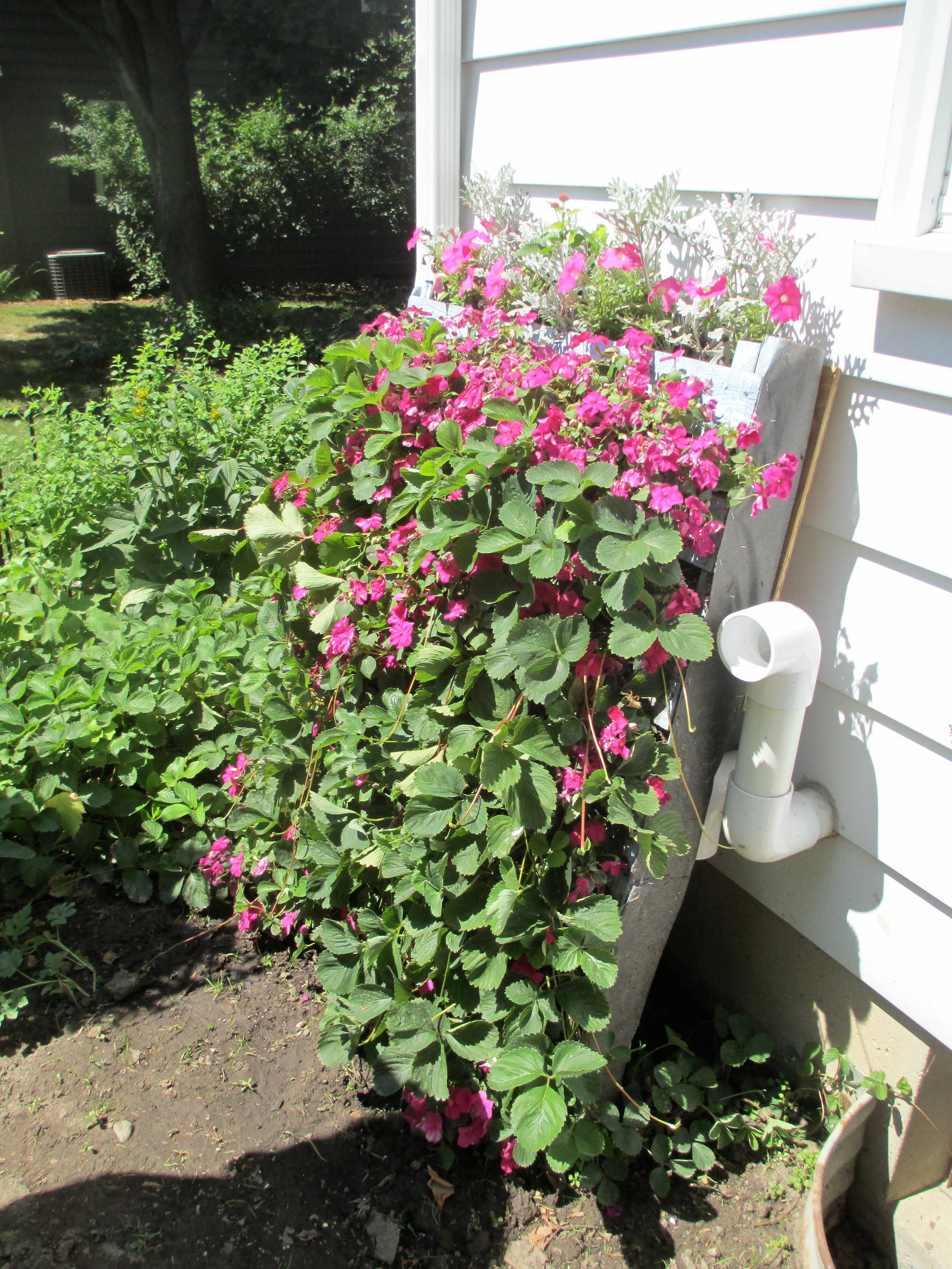 Houzz call: Покажите нам свои креативные цветники и грядки