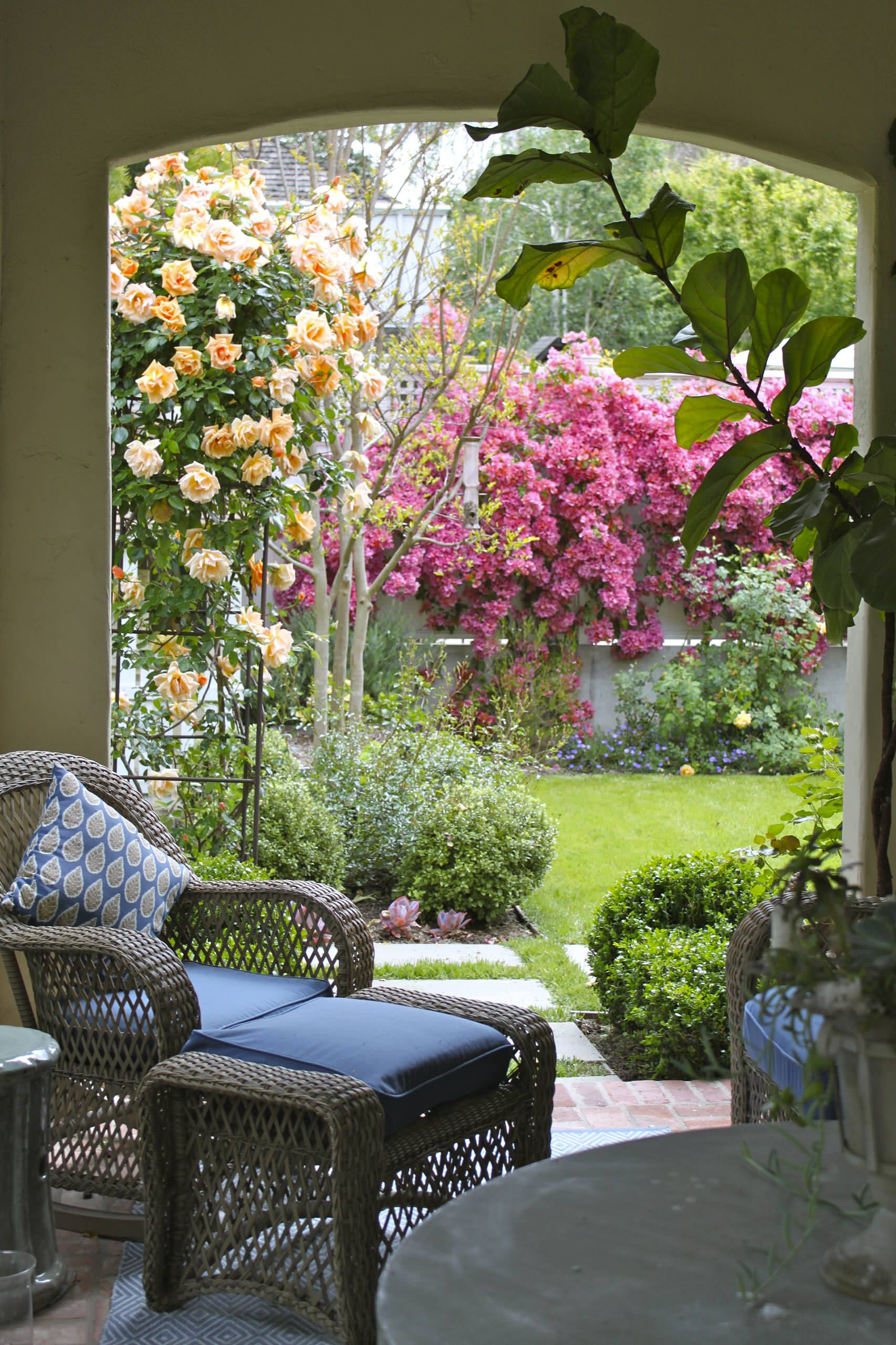 Хороший вопрос: Как правильно сажать и выращивать розы?