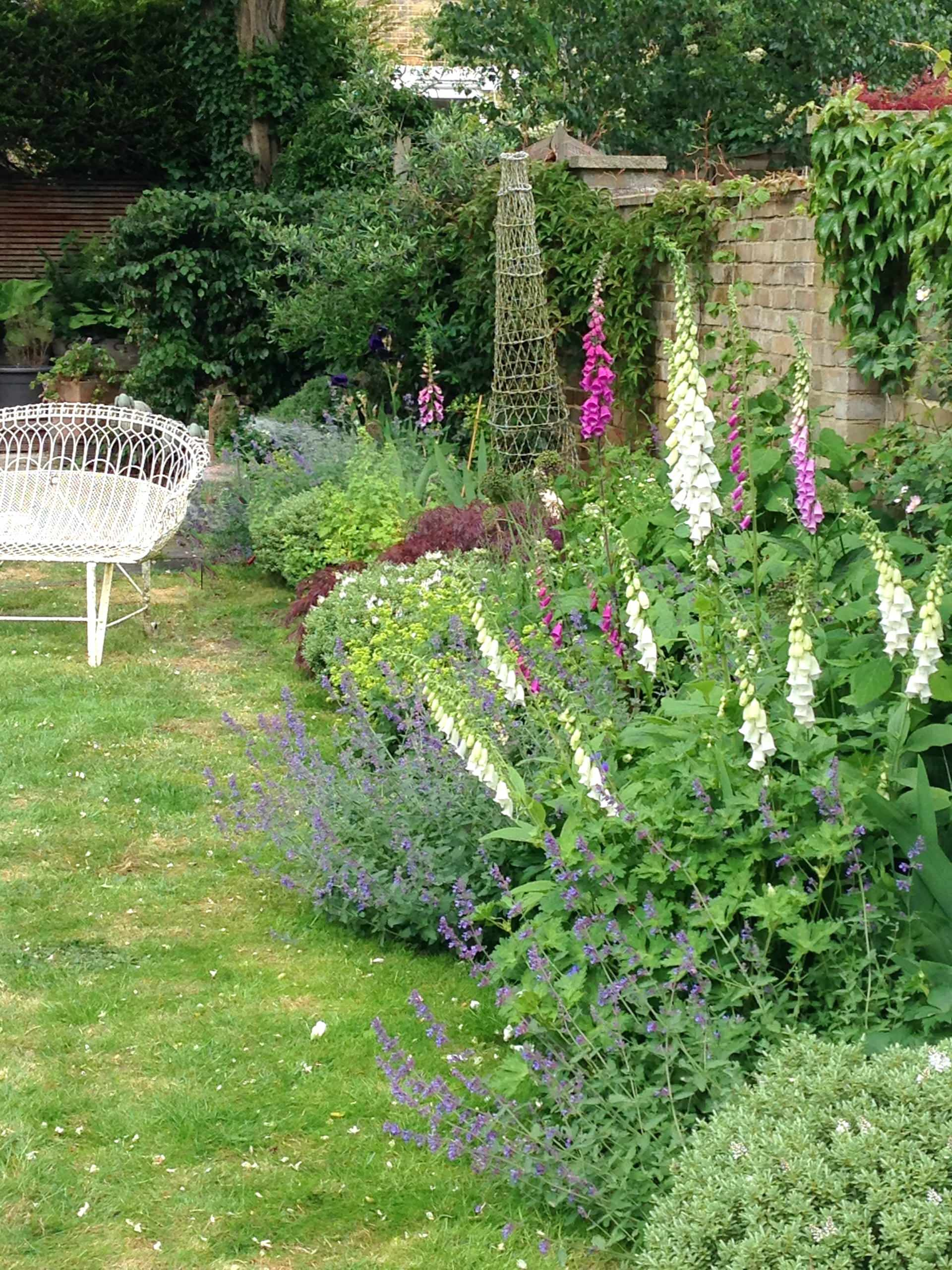 10 частых ошибок при обустройстве сада