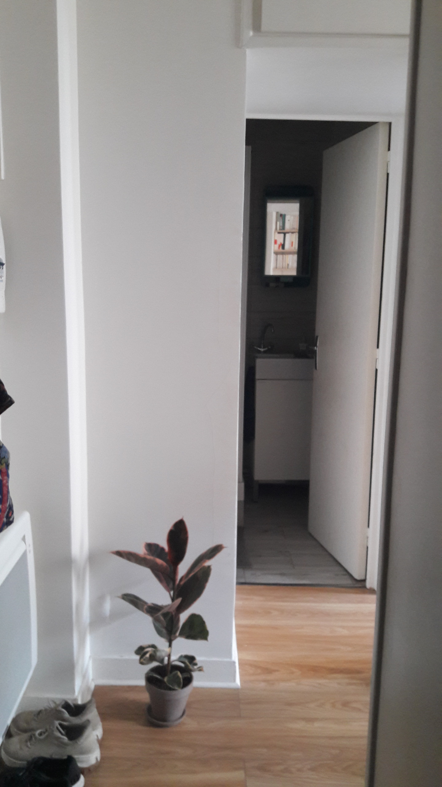 До и после: 25 кв. м. в Париже с японскими мотивами