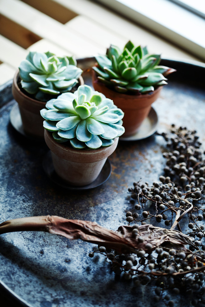 Нouzz Дания: Рождество в скандинавском стиле