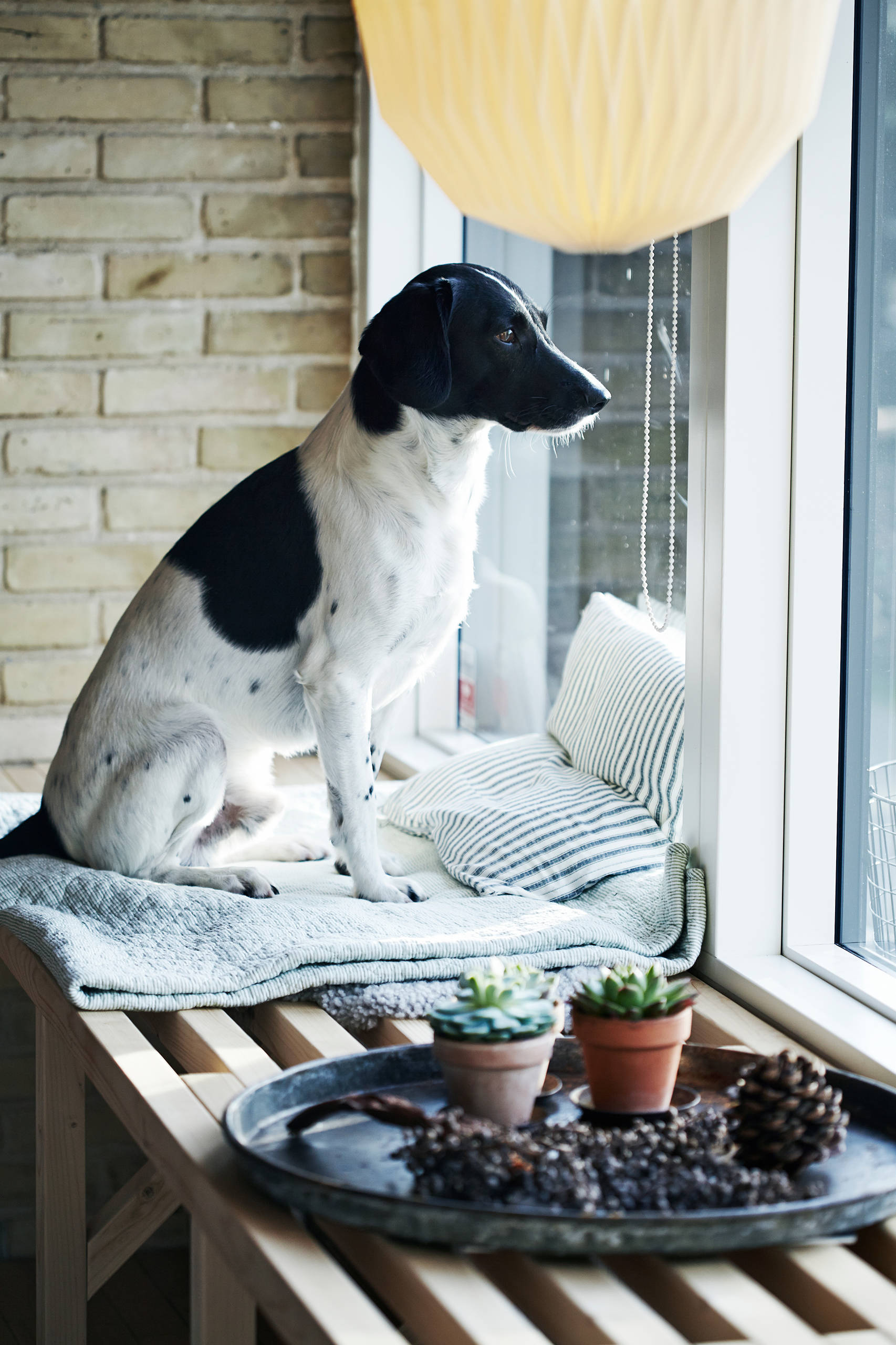 Нouzz Дания: Рождество в скандинавском стиле