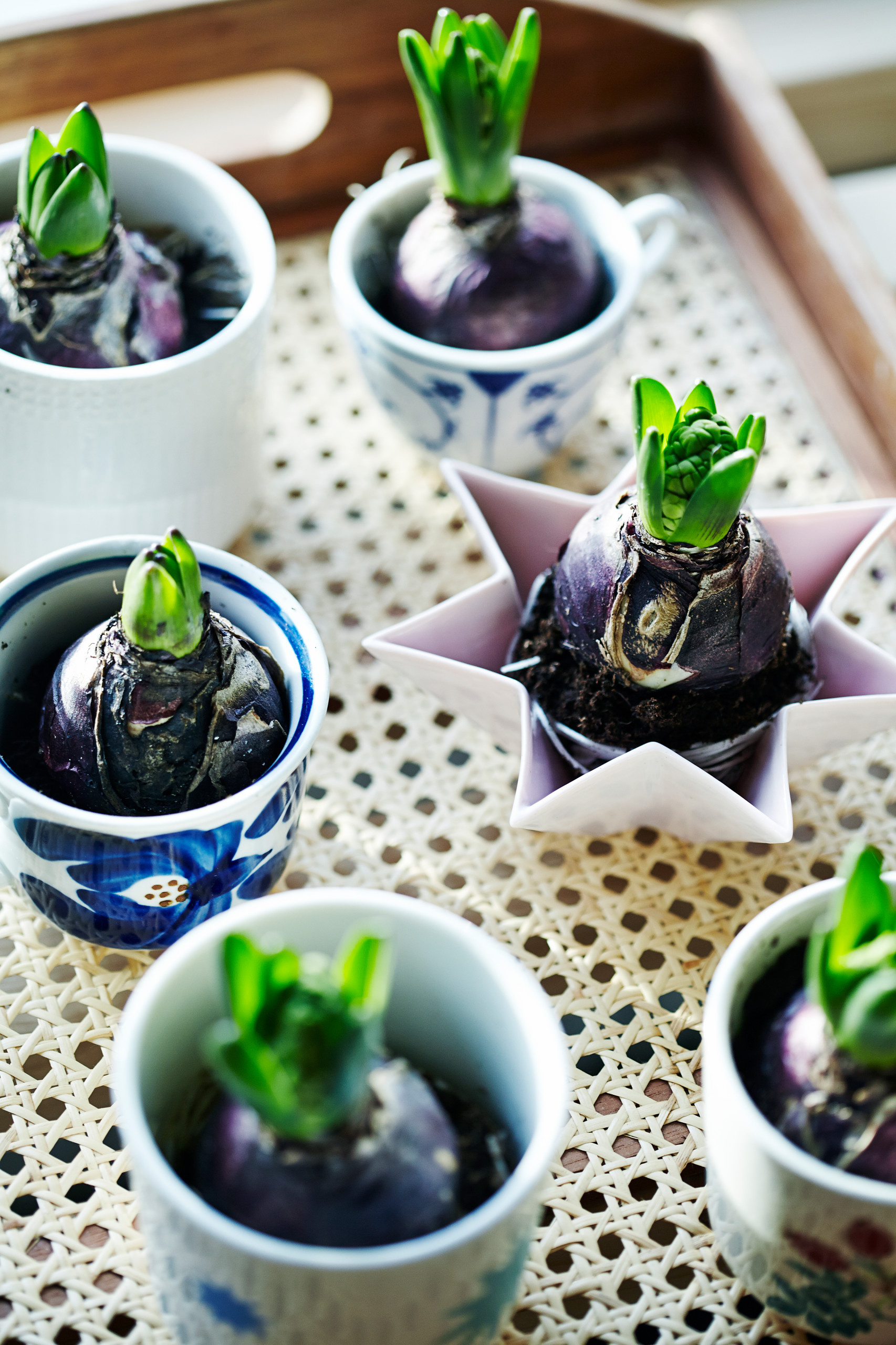 Нouzz Дания: Рождество в скандинавском стиле