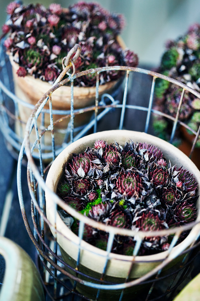 Нouzz Дания: Рождество в скандинавском стиле