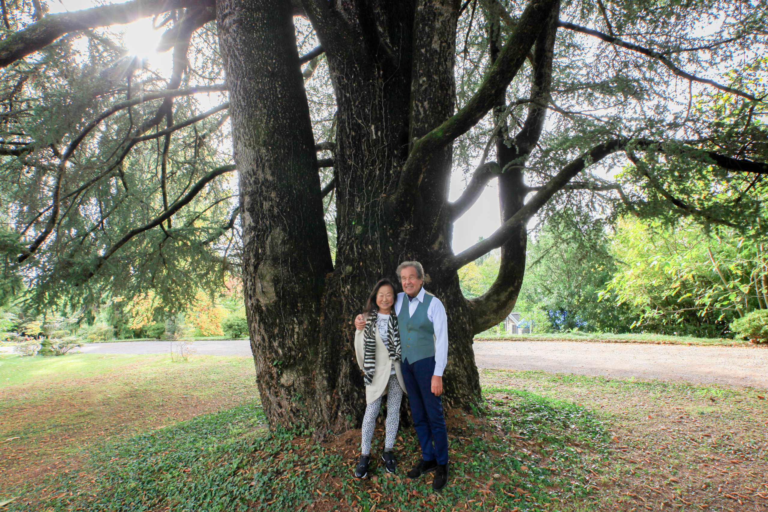 Проект недели: Японский сад на итальянской вилле