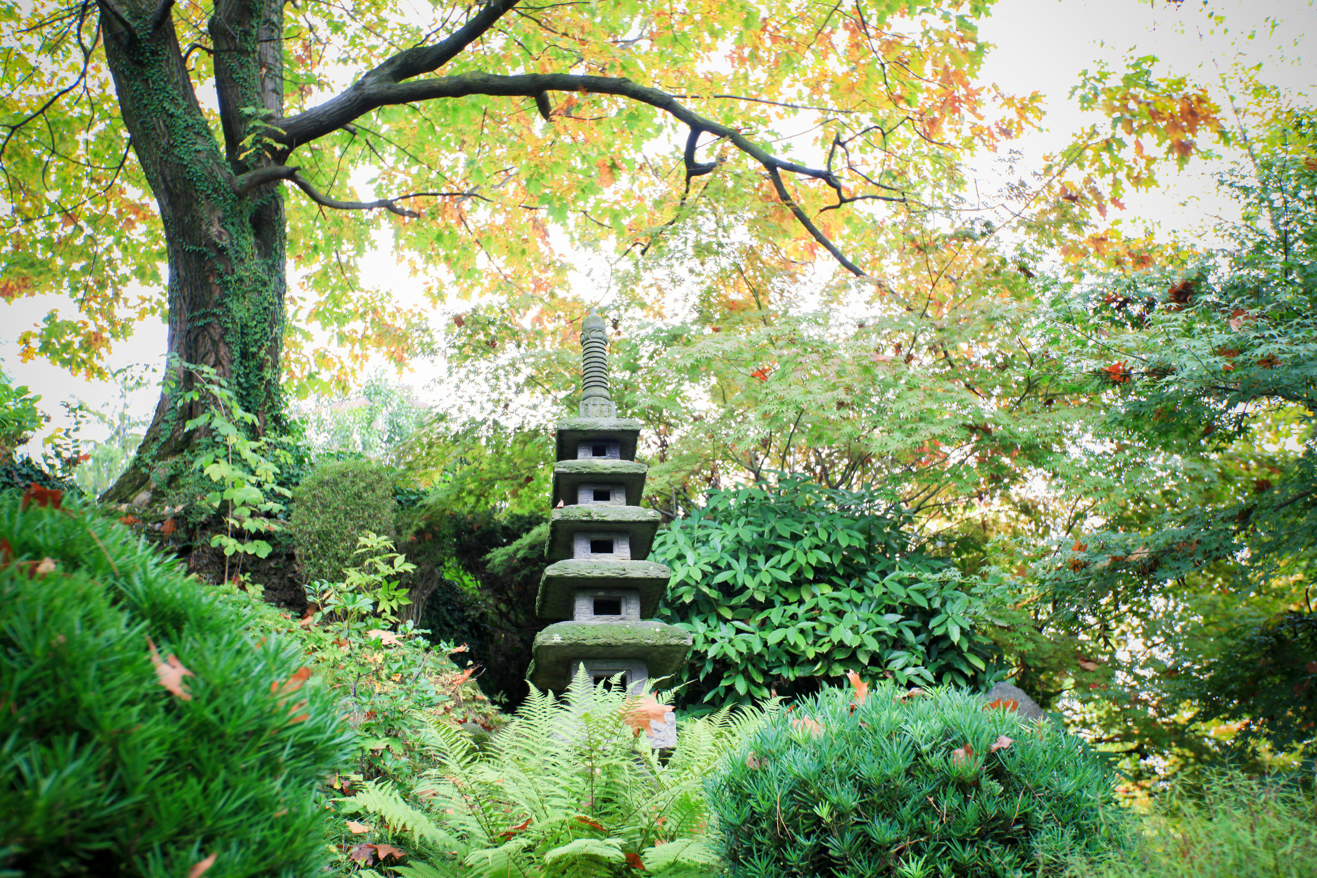 Проект недели: Японский сад на итальянской вилле