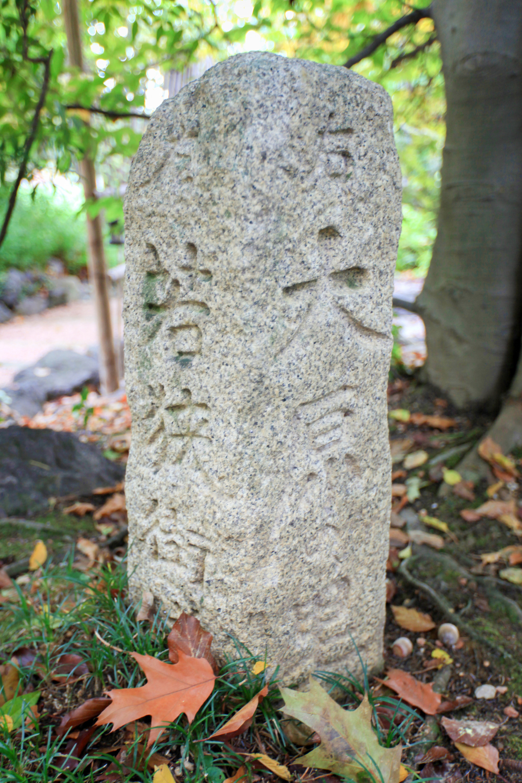 Проект недели: Японский сад на итальянской вилле