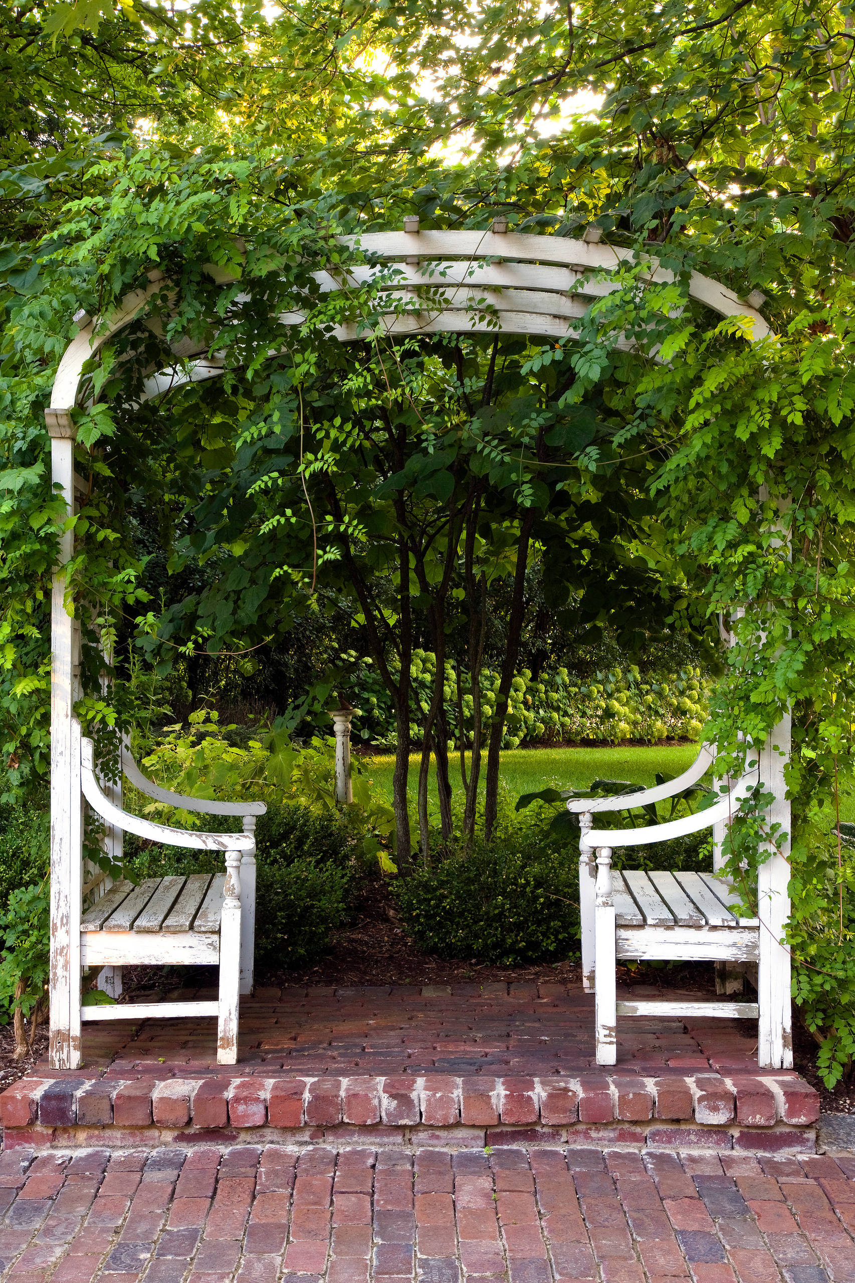 Почему зимой: 7 причин обратиться к ландшафному архитектору