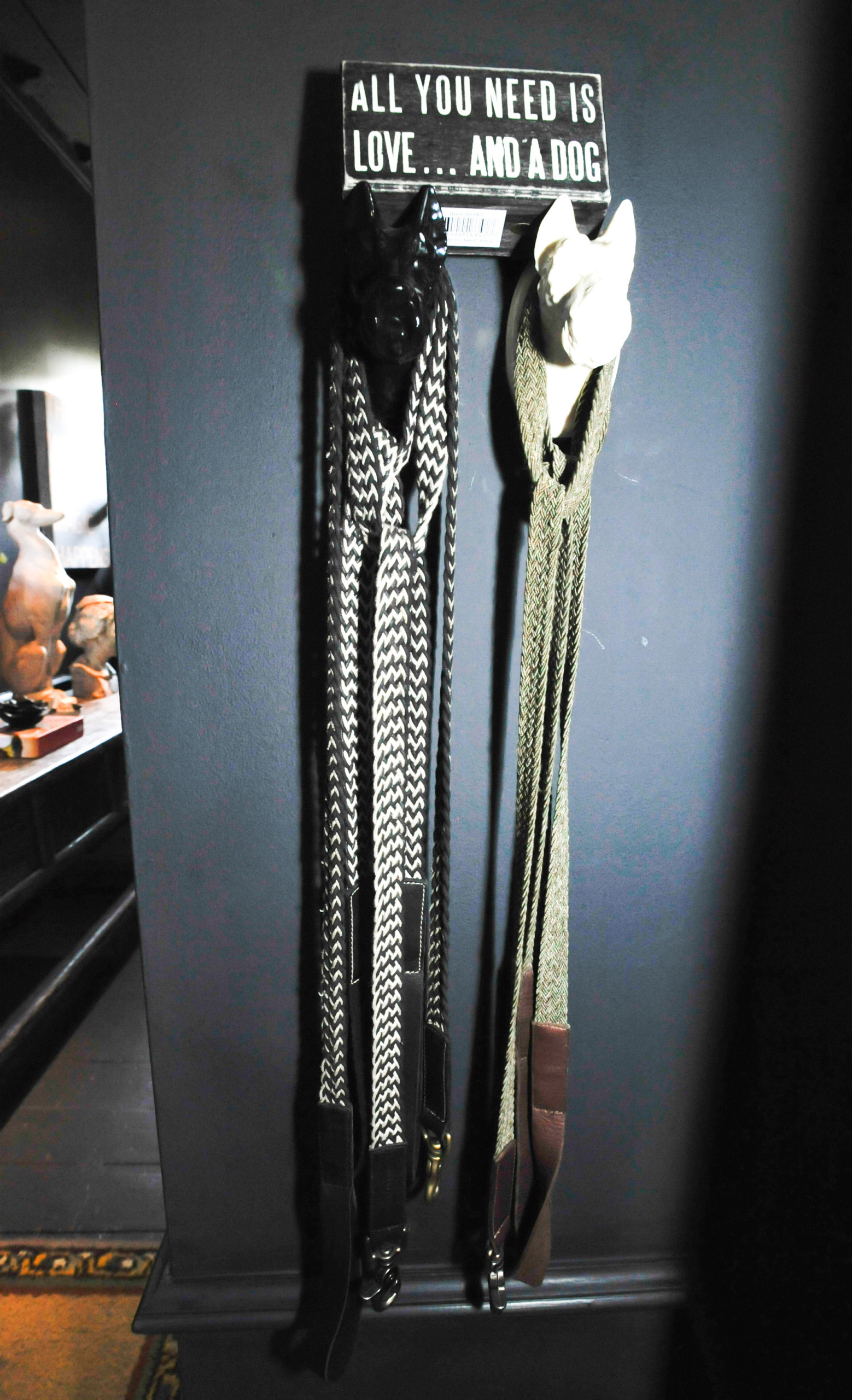 Собака в доме: Как сохранить красоту и порядок